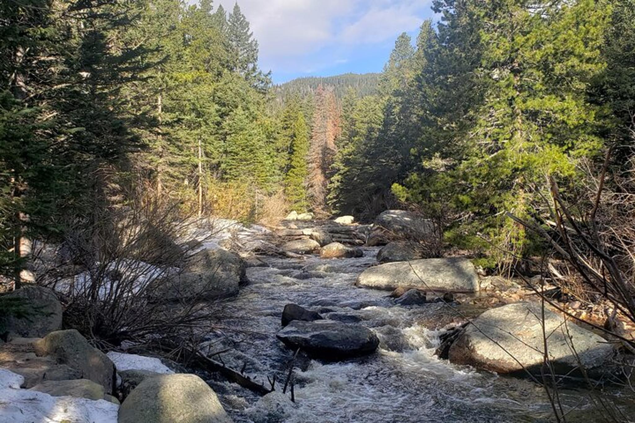 Rocky Mountain National Park Women's Hike to Ouzel Falls - Image 3