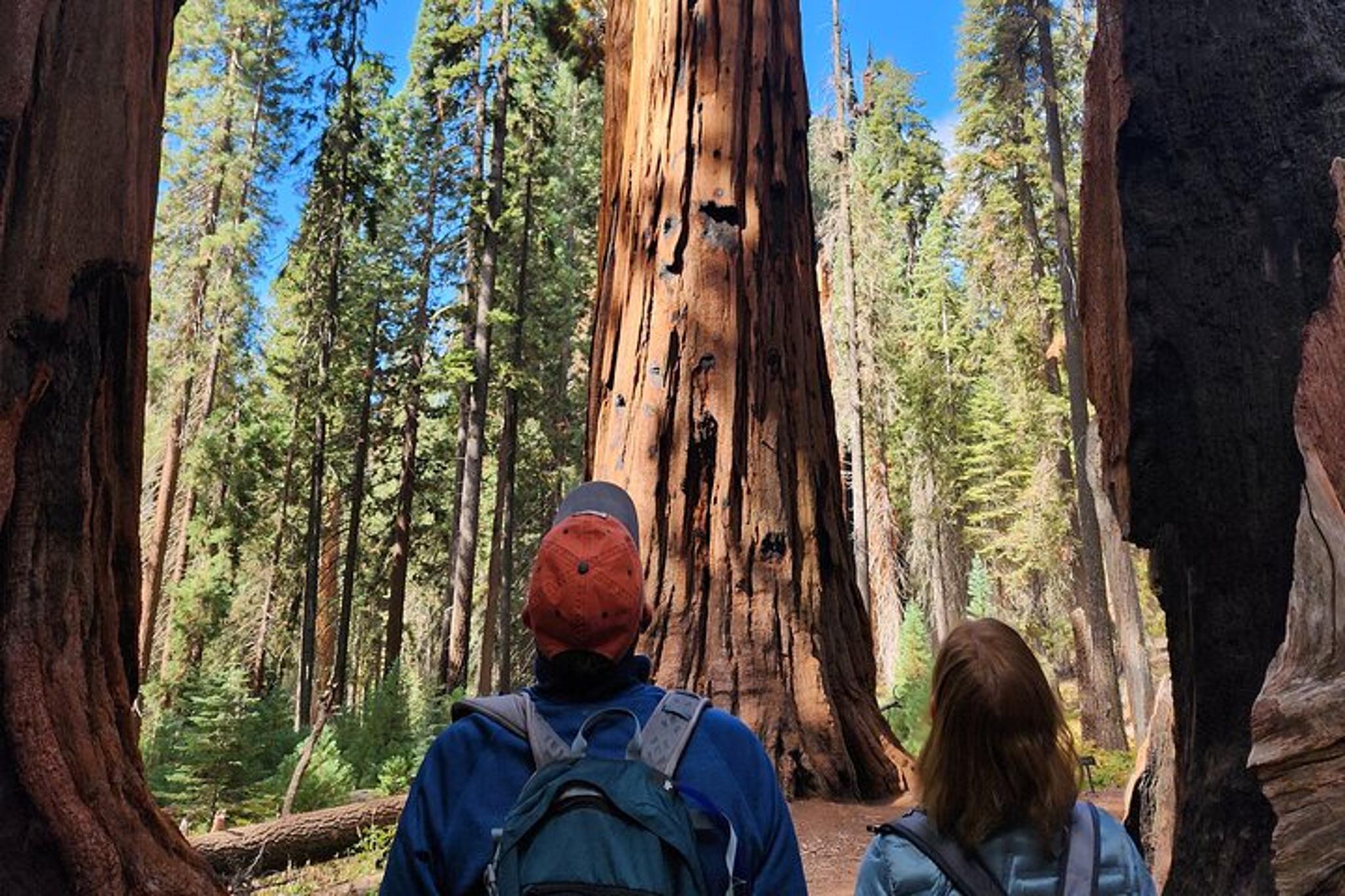 Sequoia National Park Private Hiking Tour - Image 4