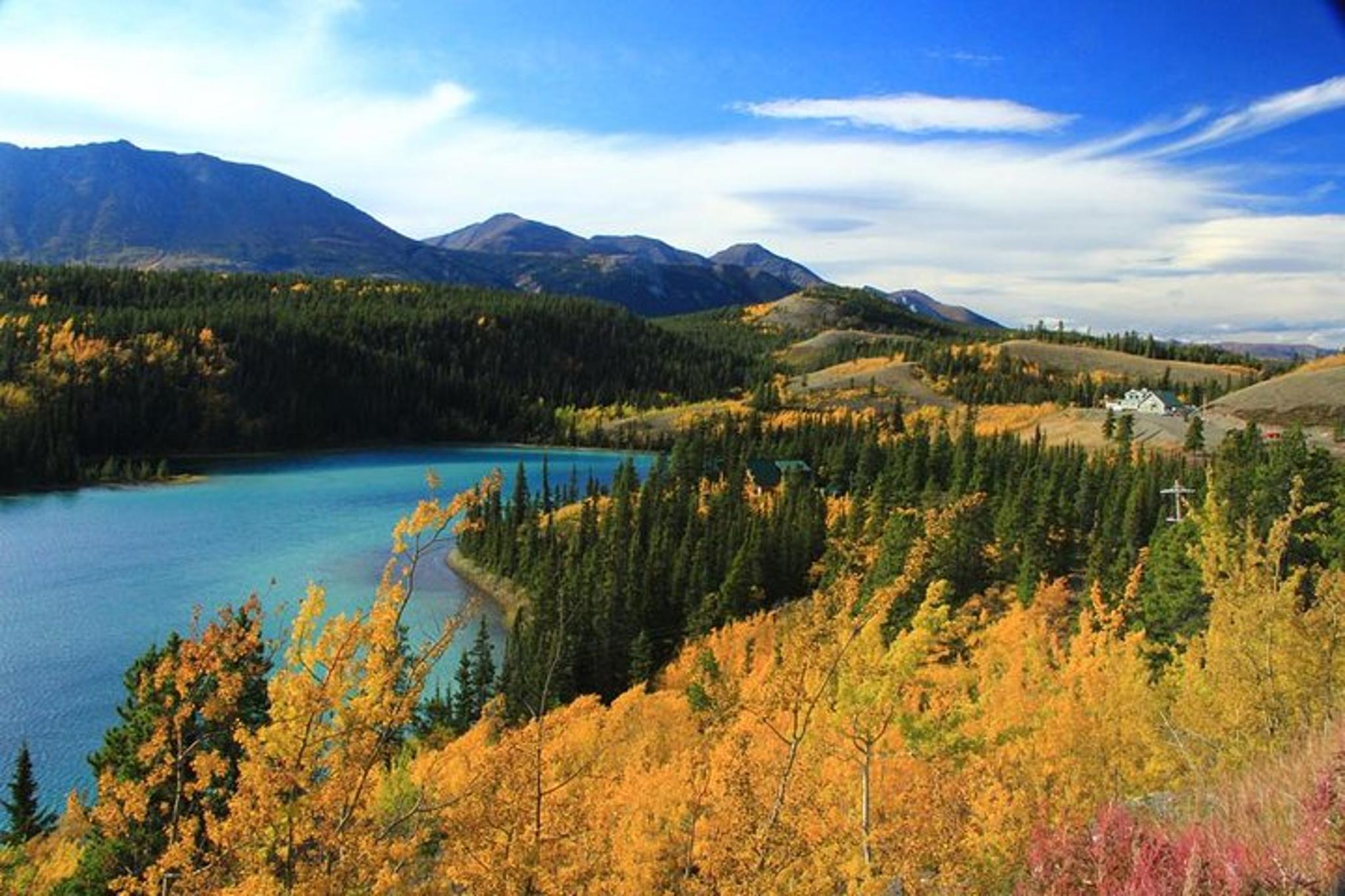 Skagway Yukon Discovery Tour 6 hr - Image 2