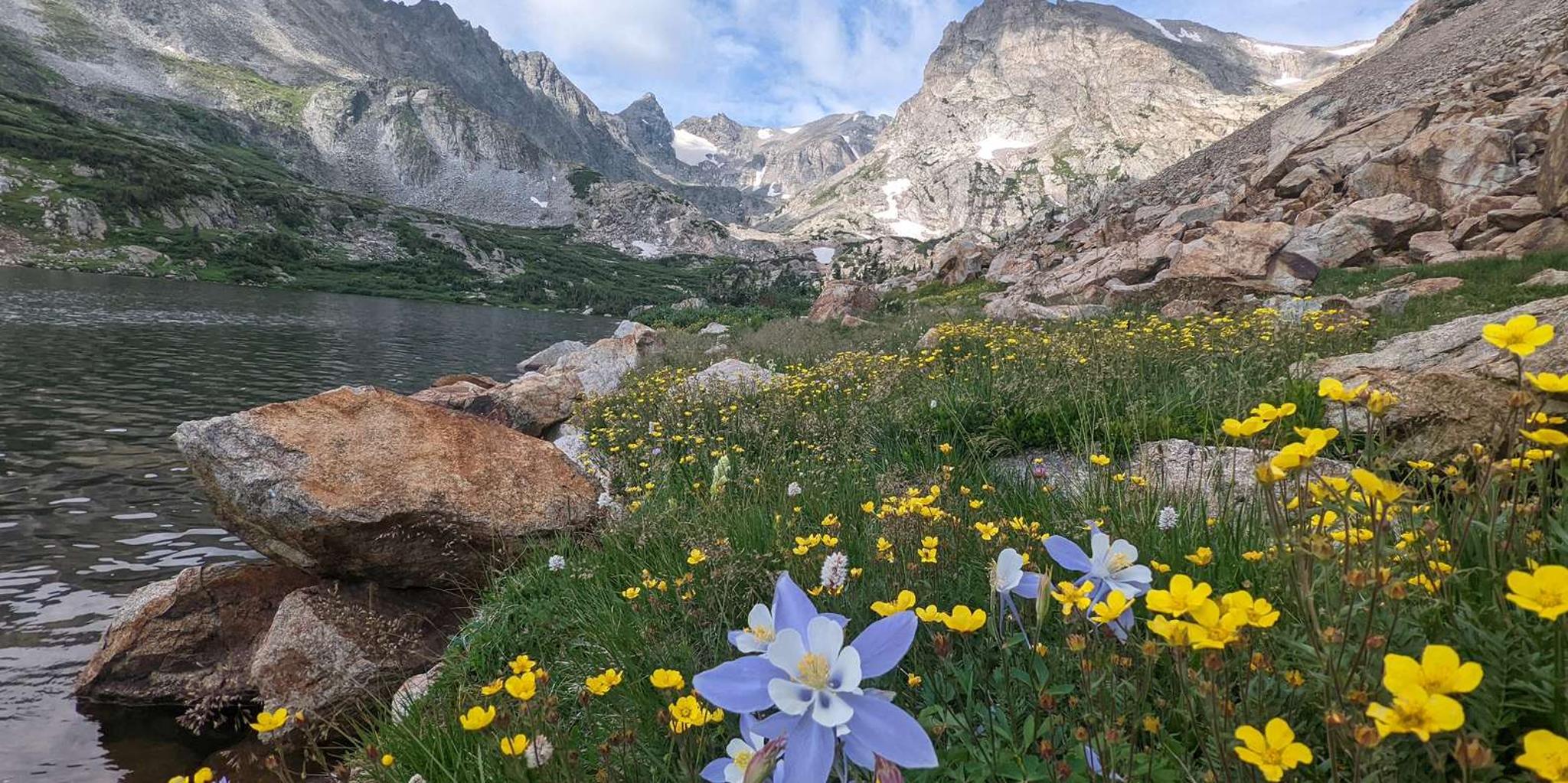 Denver Rocky Mountain Wildlife Tour - Image 1