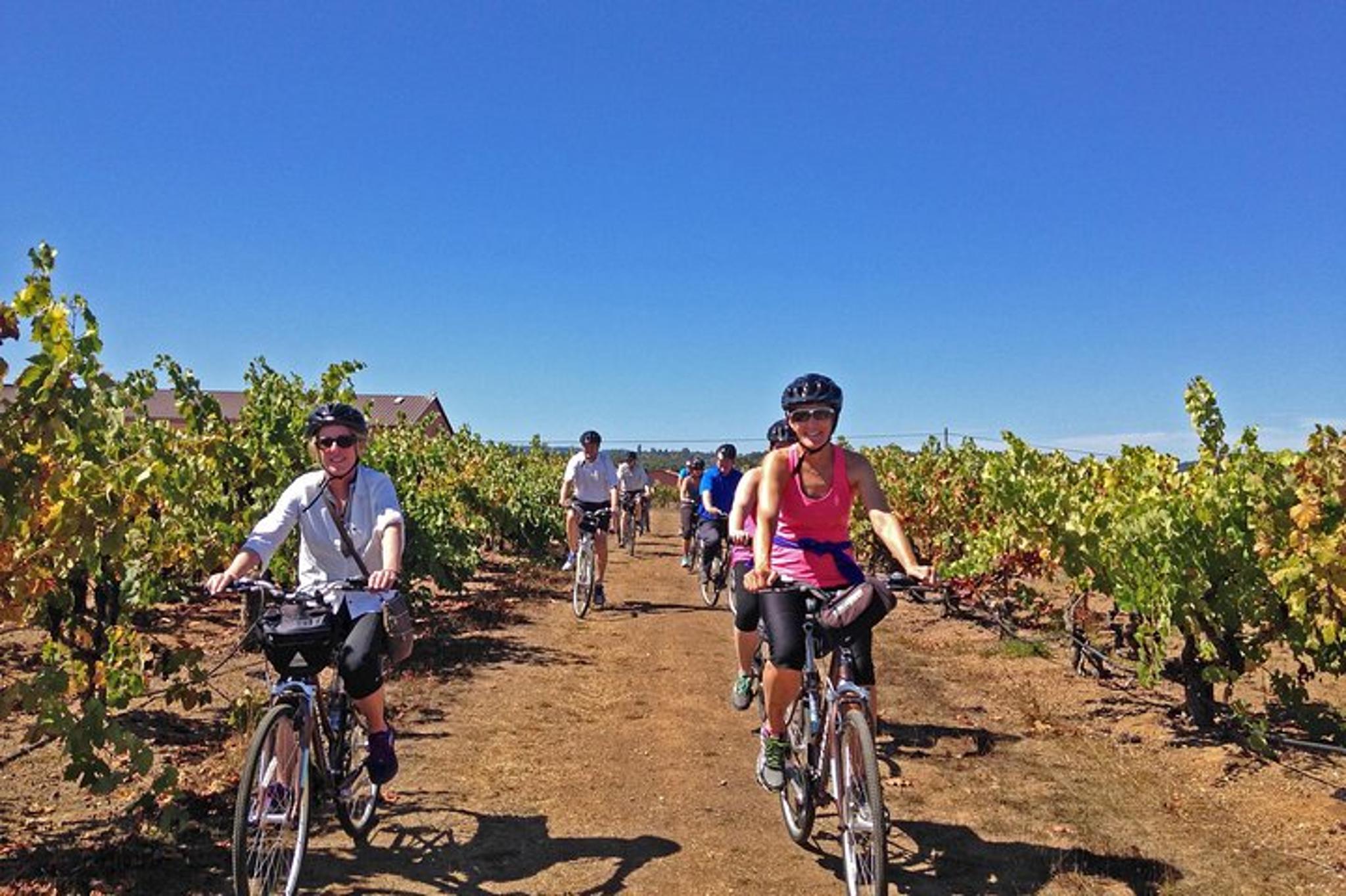 Santa Rosa Bike & Wine Tour - Image 2