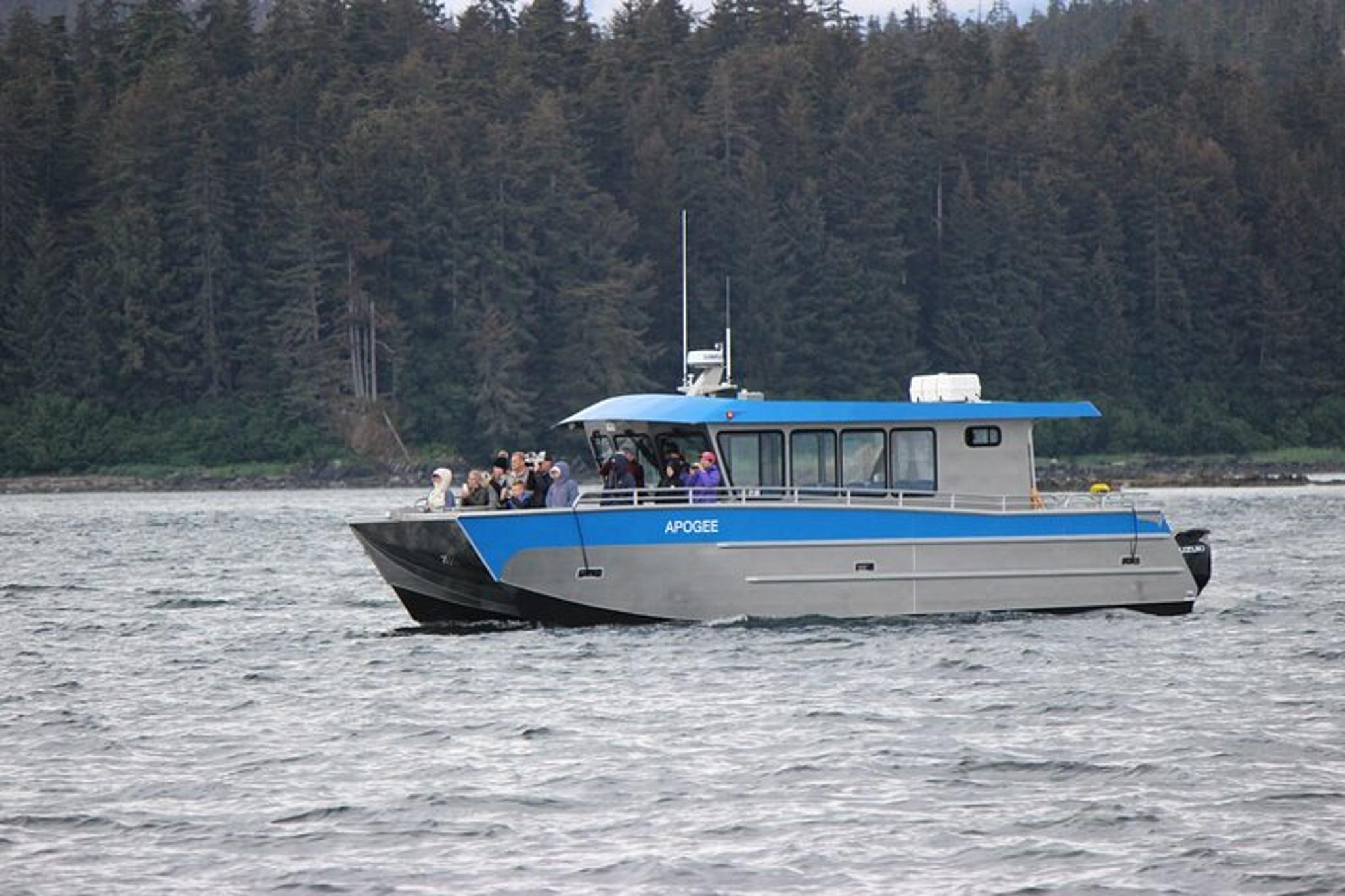 Juneau Whale Watching Tour - Image 1