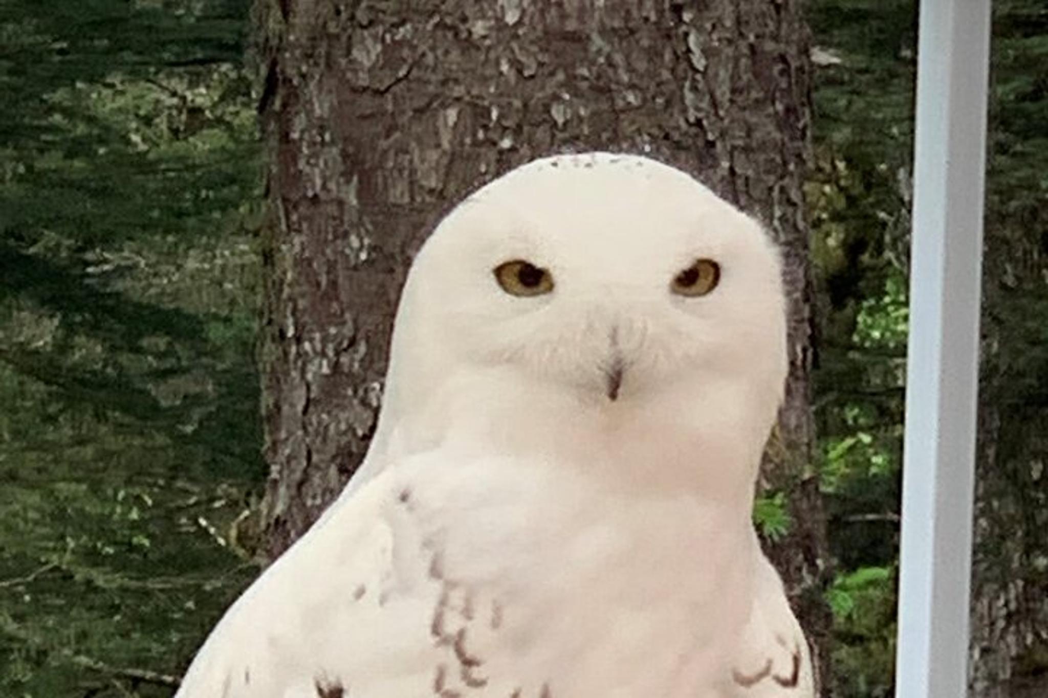 Sitka Private Tour - Image 5