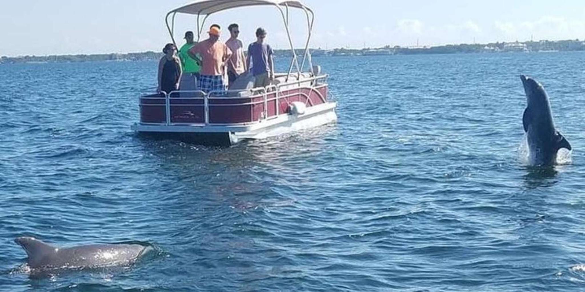 Key Largo Boat Eco Tour