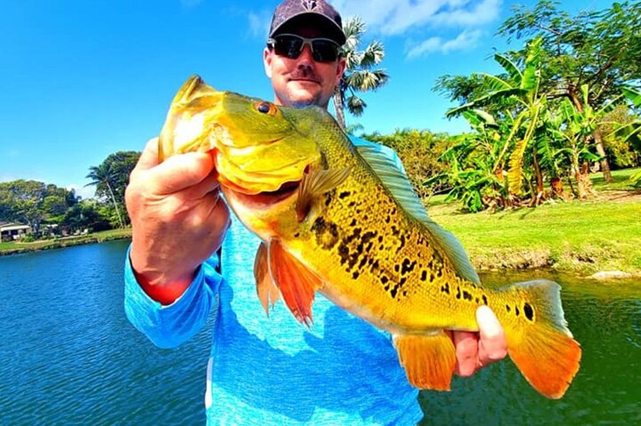 Miami Peacock Bass Fishing Trip - Image 5