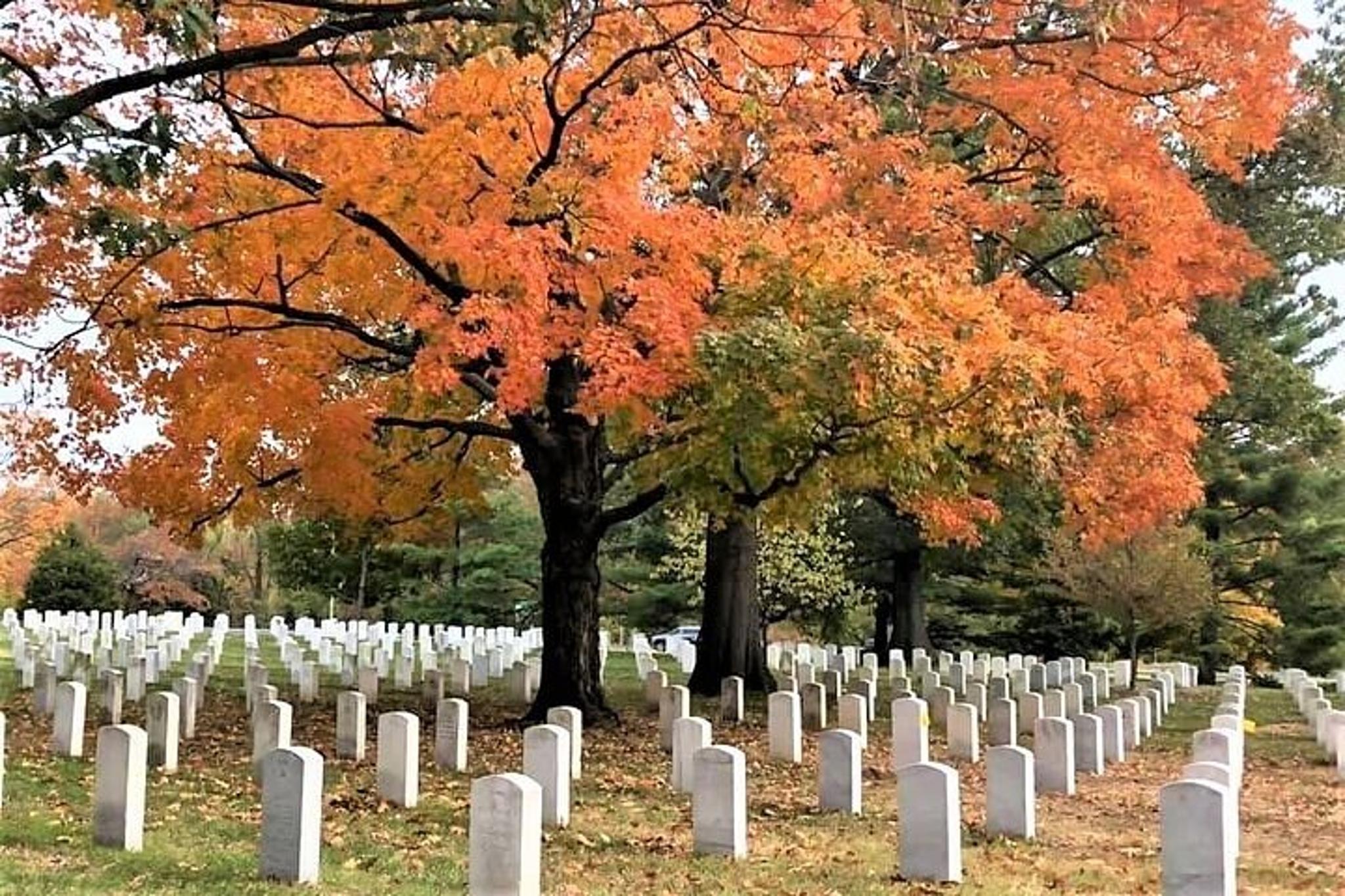 Washington DC National Mall Bus Tour and Arlington Cemetery Walk