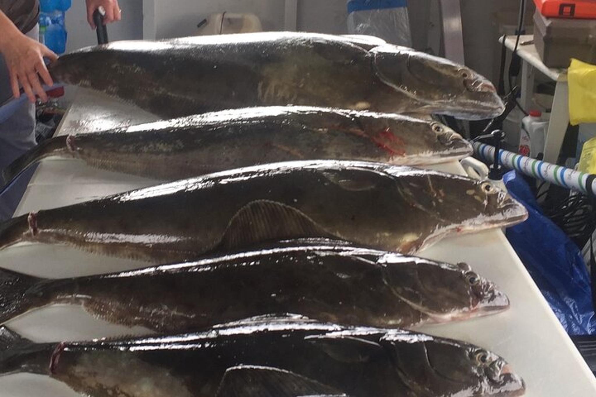 Hoonah Halibut Fishing Tour 3.5 hr - Image 6