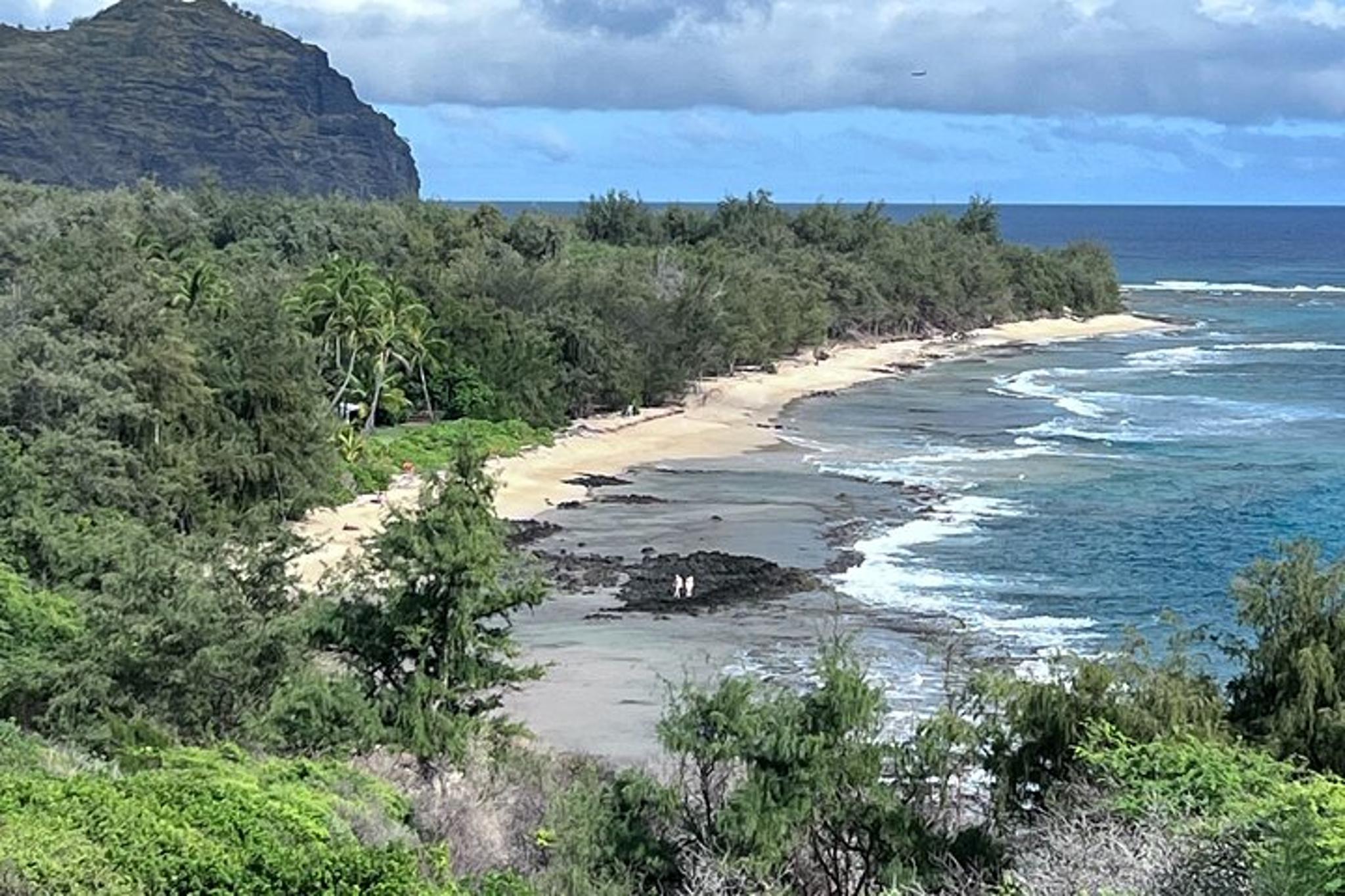 Kauai Canyons & Coastlines Tour - Image 3