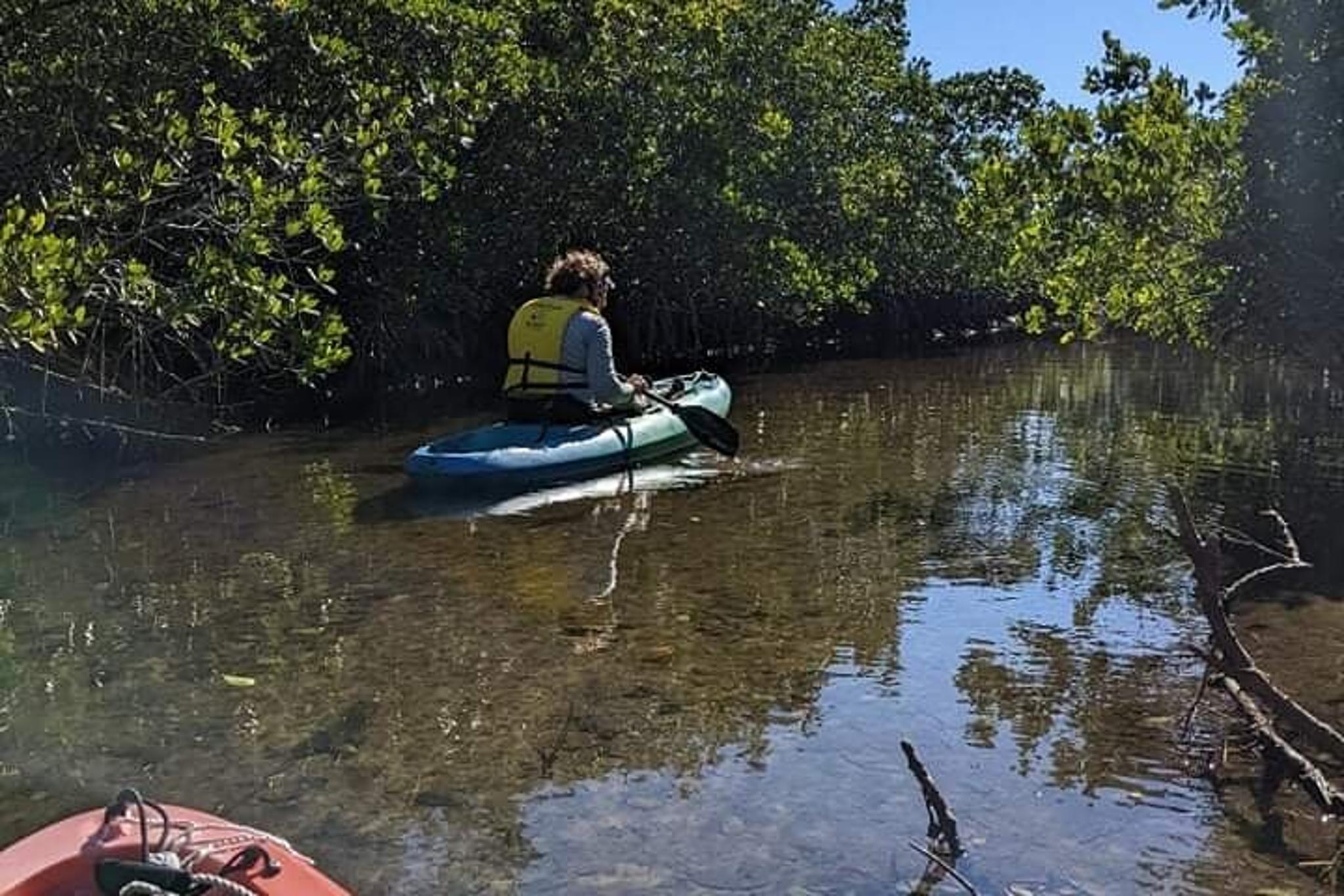 Anclote River Tandem Kayak Tour - Image 4