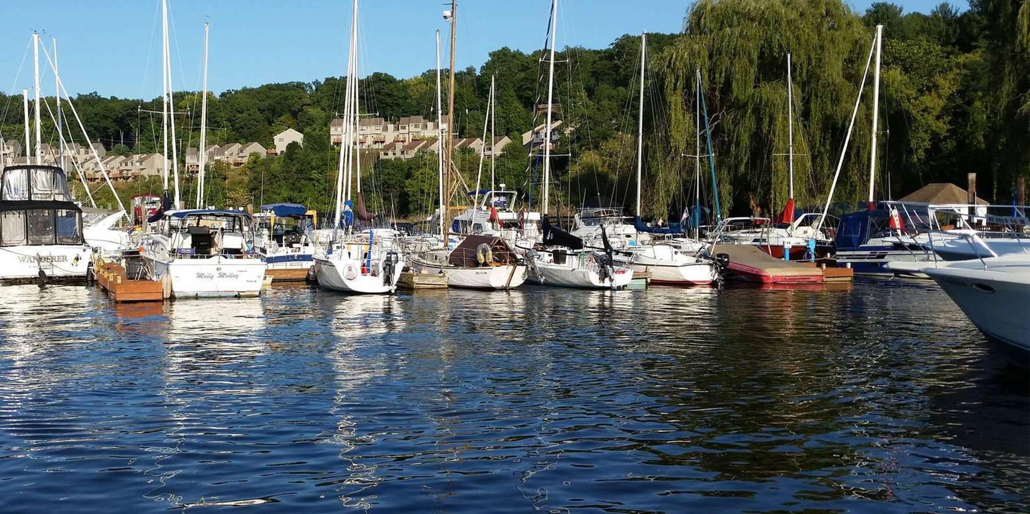 Connelly Stand Up Pedalboard Adventure 1 hr - Image 3