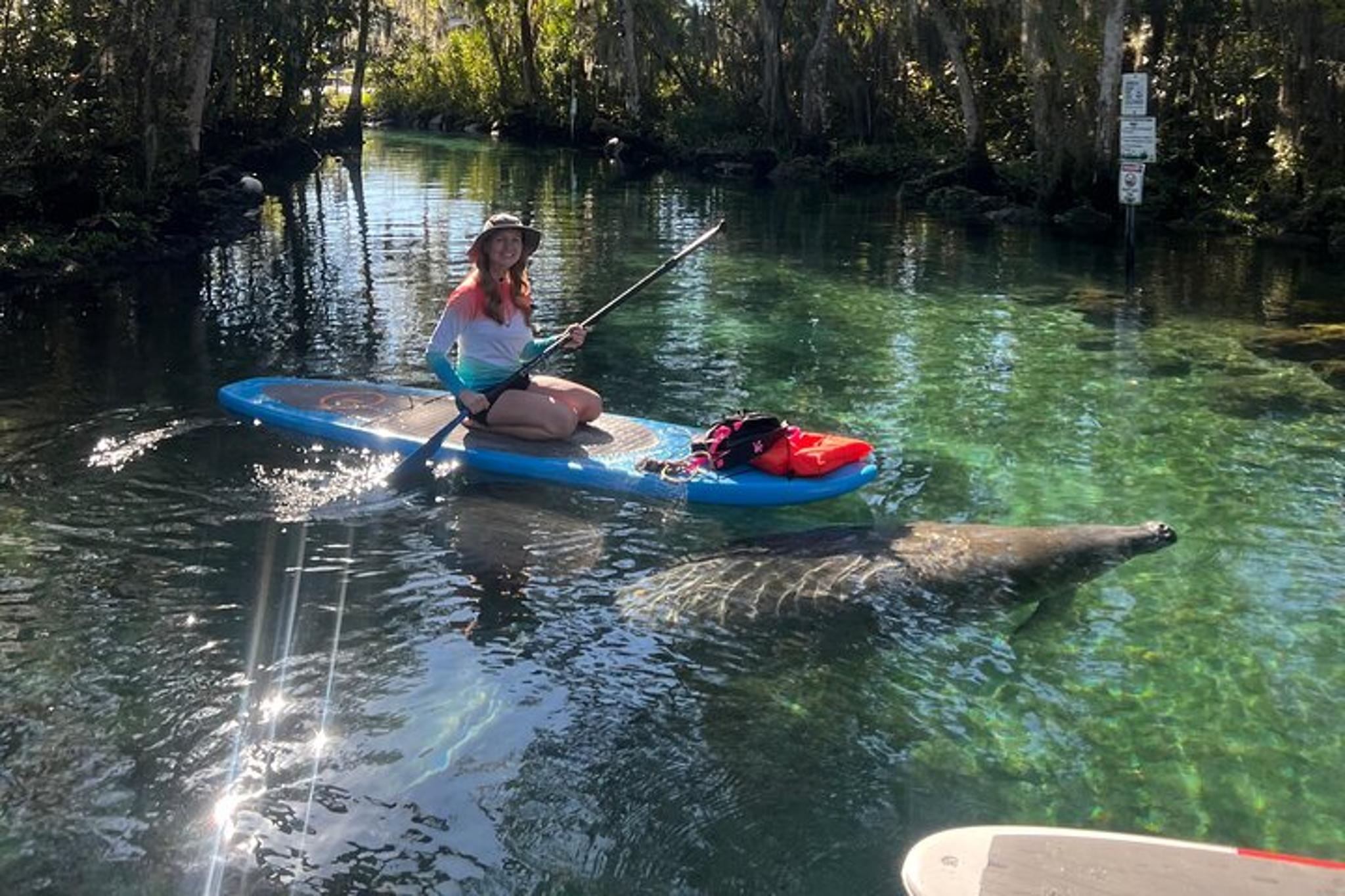 Crystal River Paddle Board Rental 2 Hr - Image 2