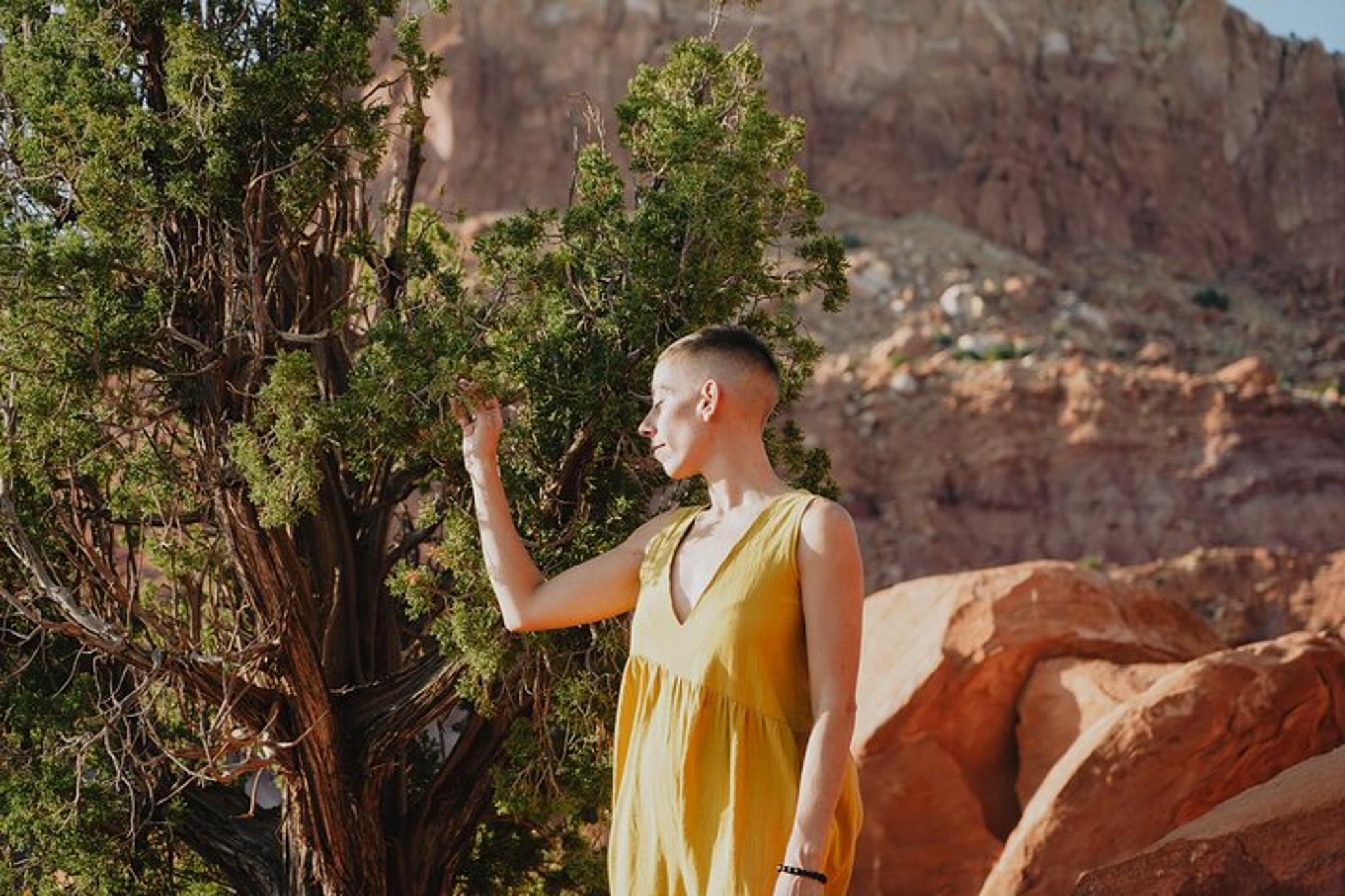 Albuquerque Flower Essence Creation Workshop