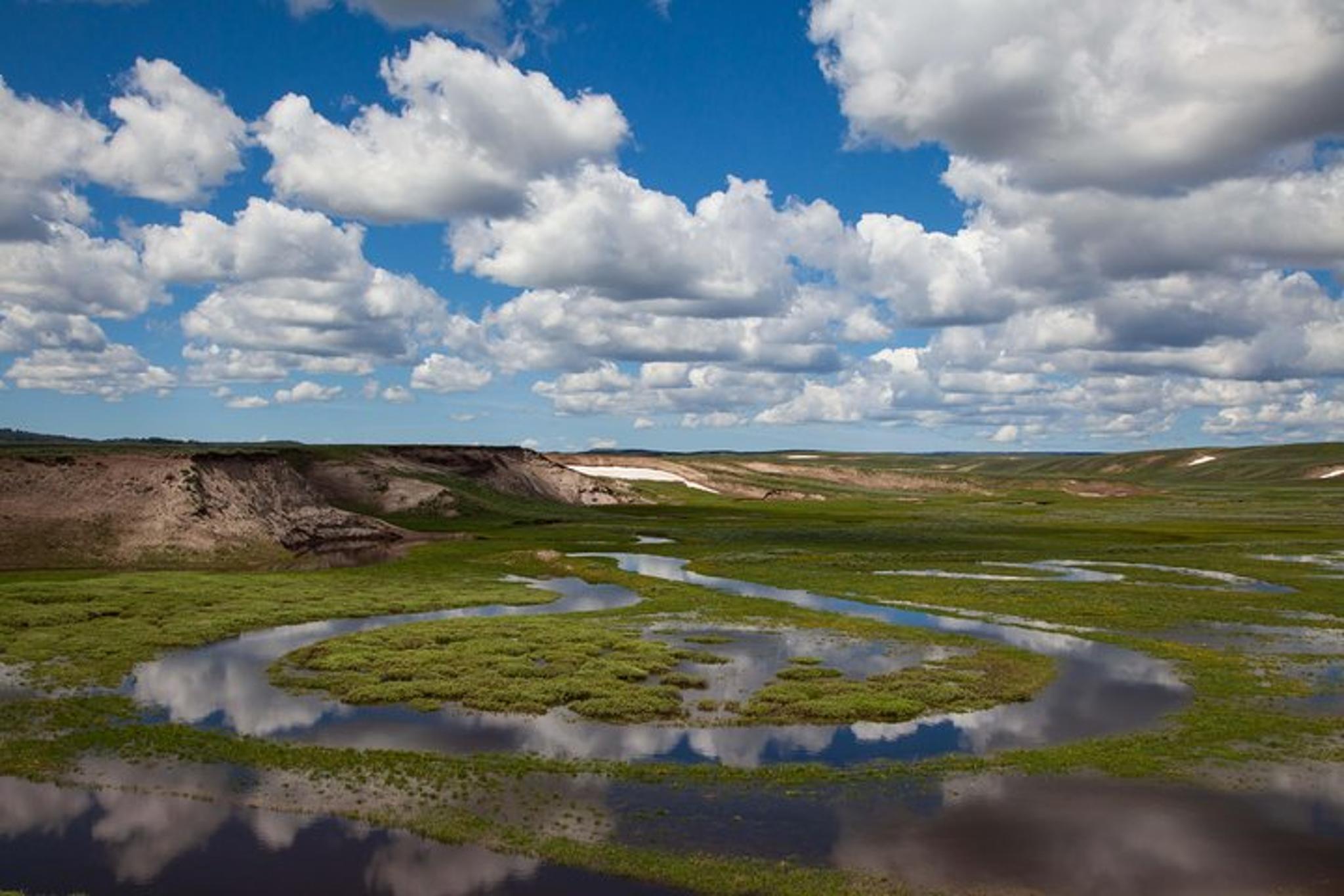 Yellowstone National Park Safari Tour - Image 6