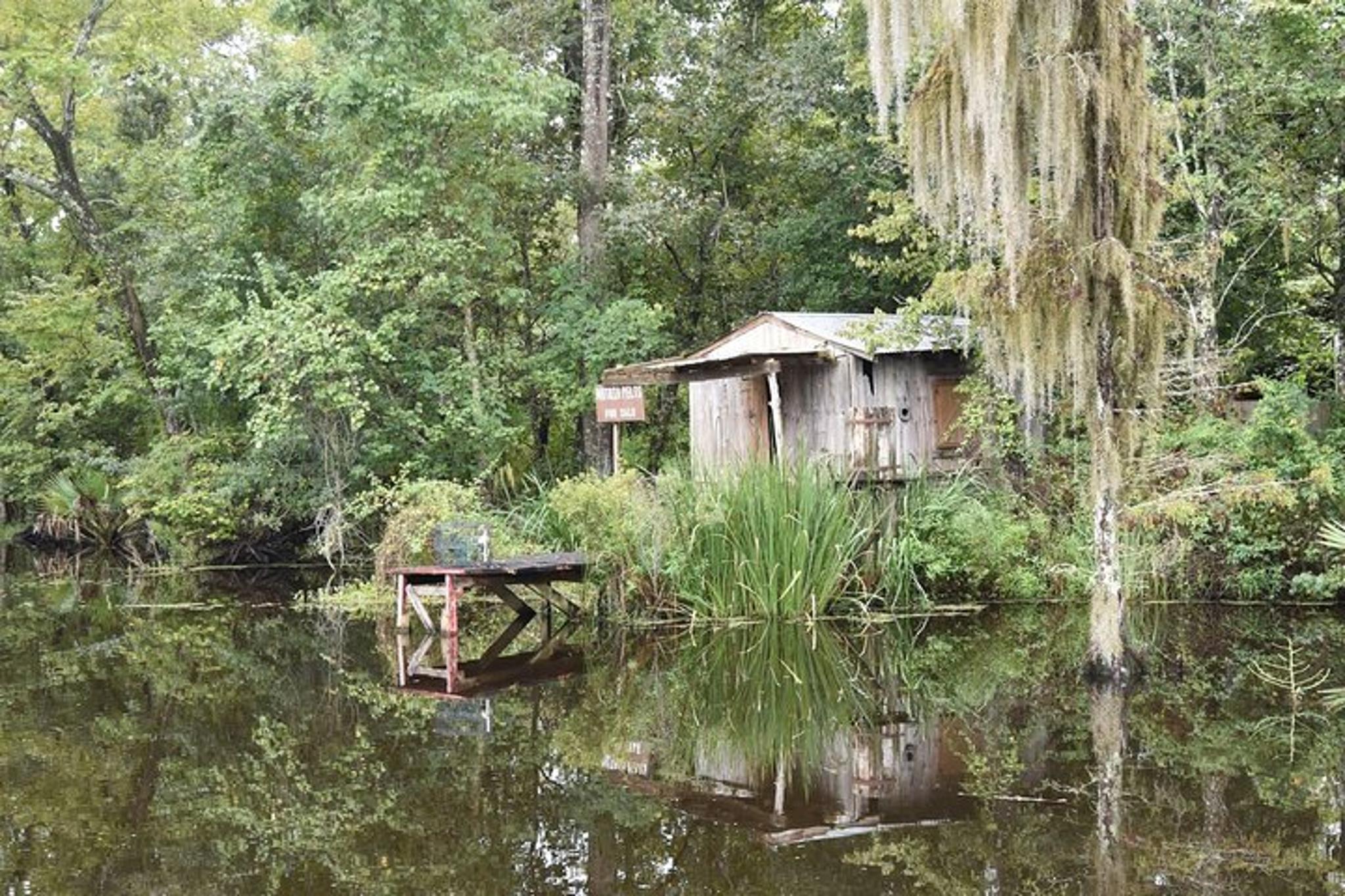 Marrero Swamp and Bayou Boat Tour