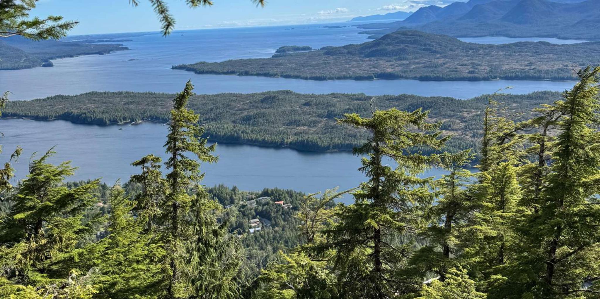 Ketchikan Rainforest Tour - Image 4