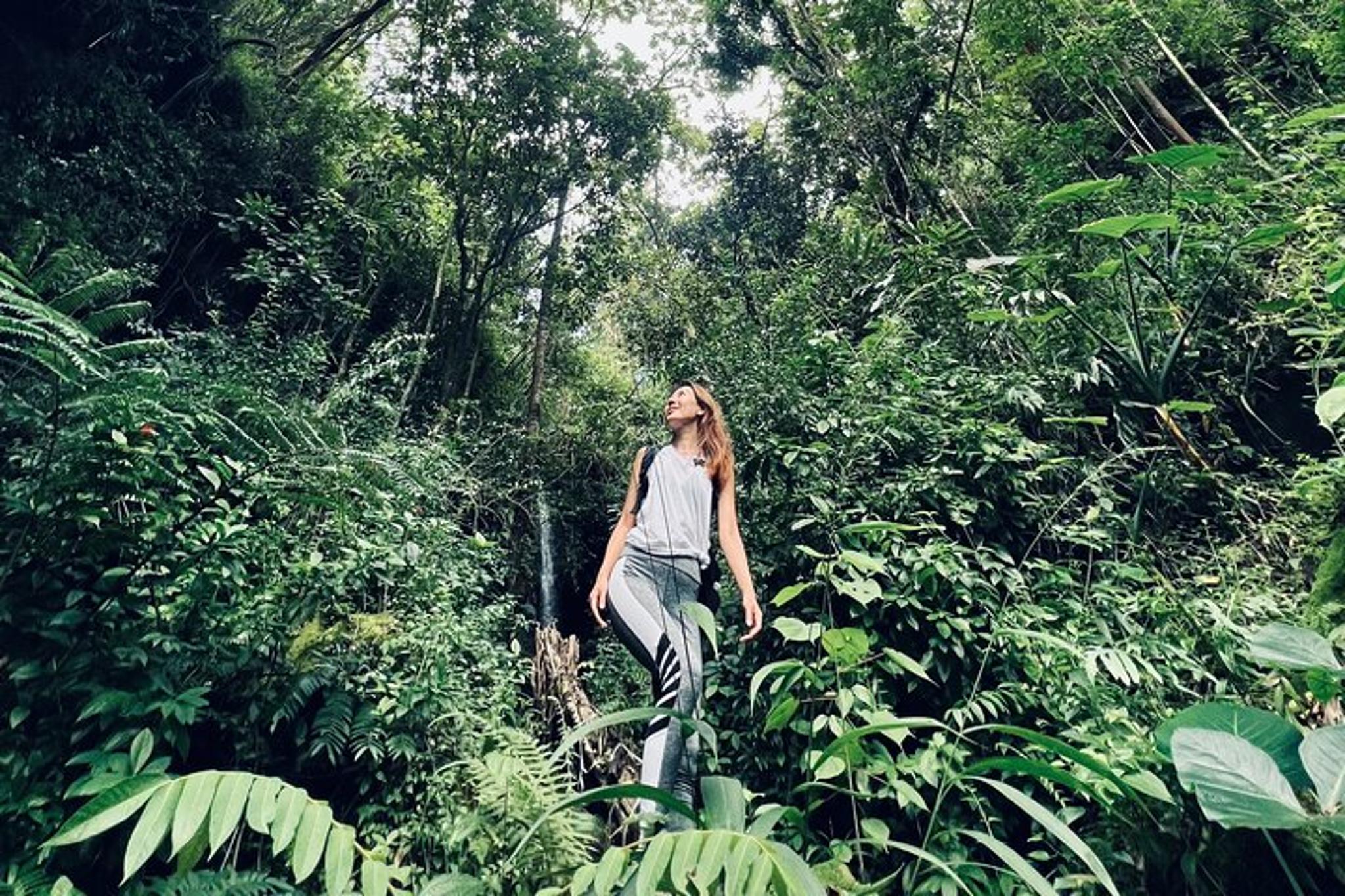 Waterfall Hike and Scenic Tour in Japan 4.5 hr - Image 3