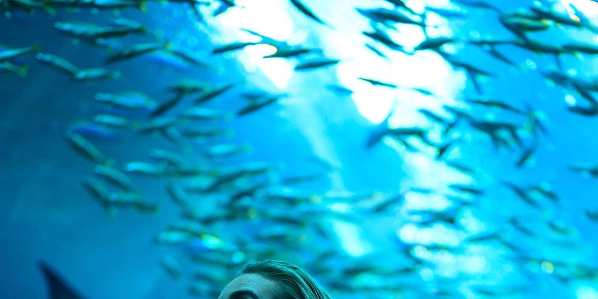 Atlanta Hop-On Hop-Off Bus Tour 8 hr - Image 5