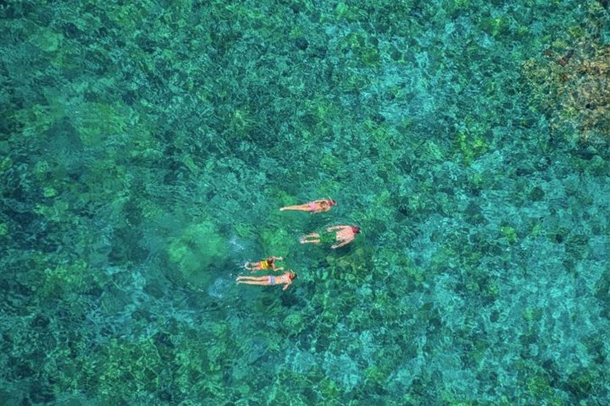 Kealakekua Bay Snorkel Tour on the Kona Coast - Image 5