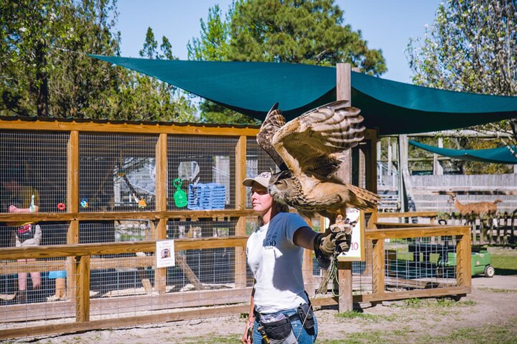 Gulf Shores Multi-Attraction Pass - Image 2