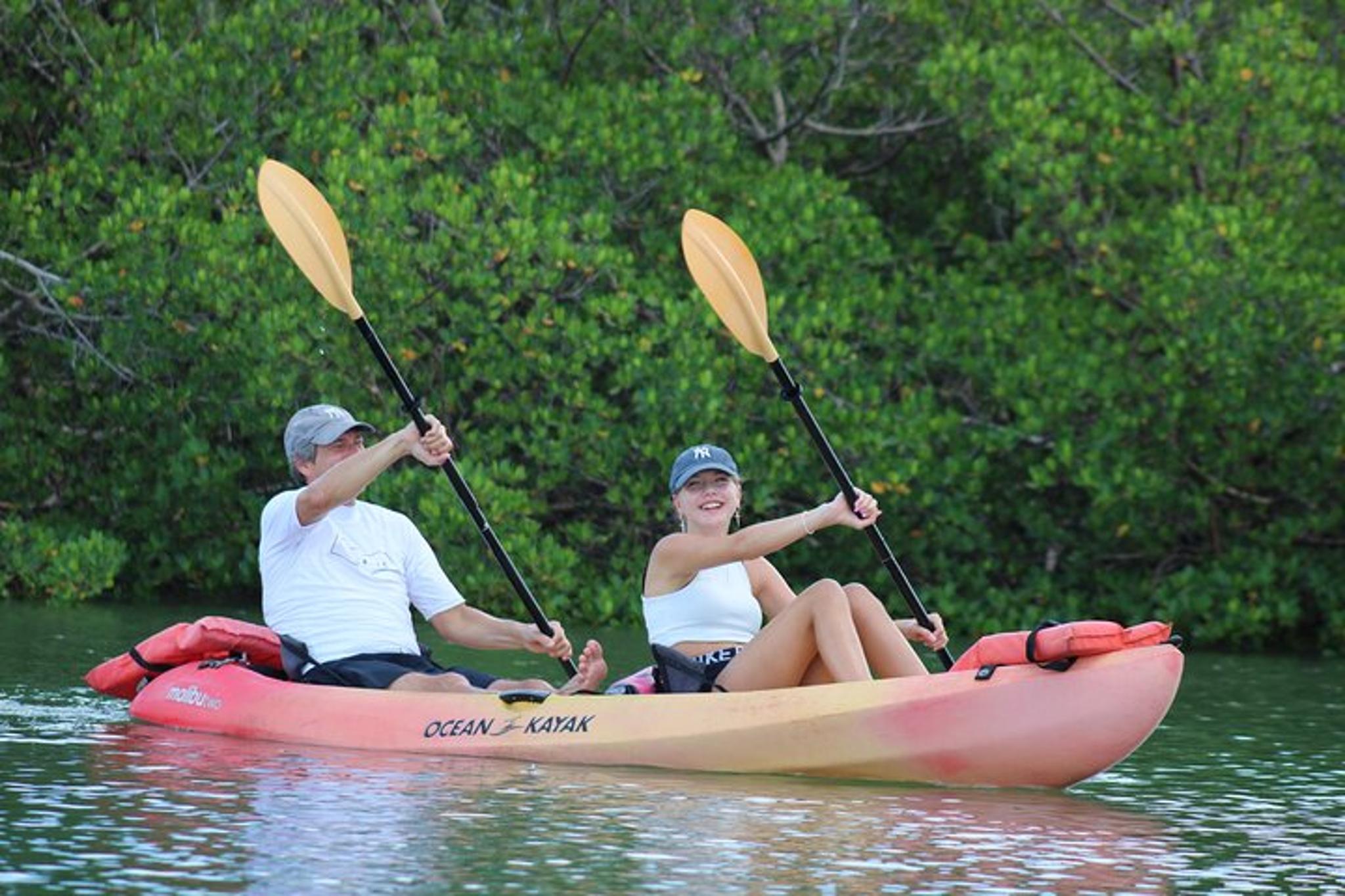 Naples Mangrove Kayak Tour