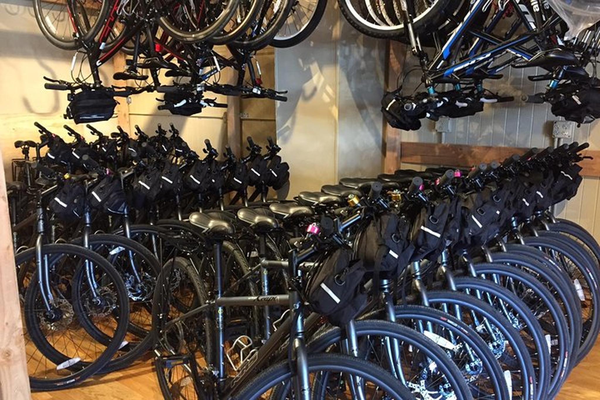 San Francisco Electric Bike Rentals - Image 4