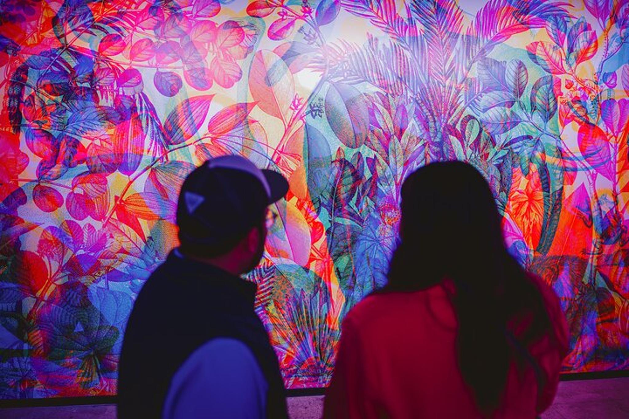 San Antonio Immersive Art Experience - Image 5