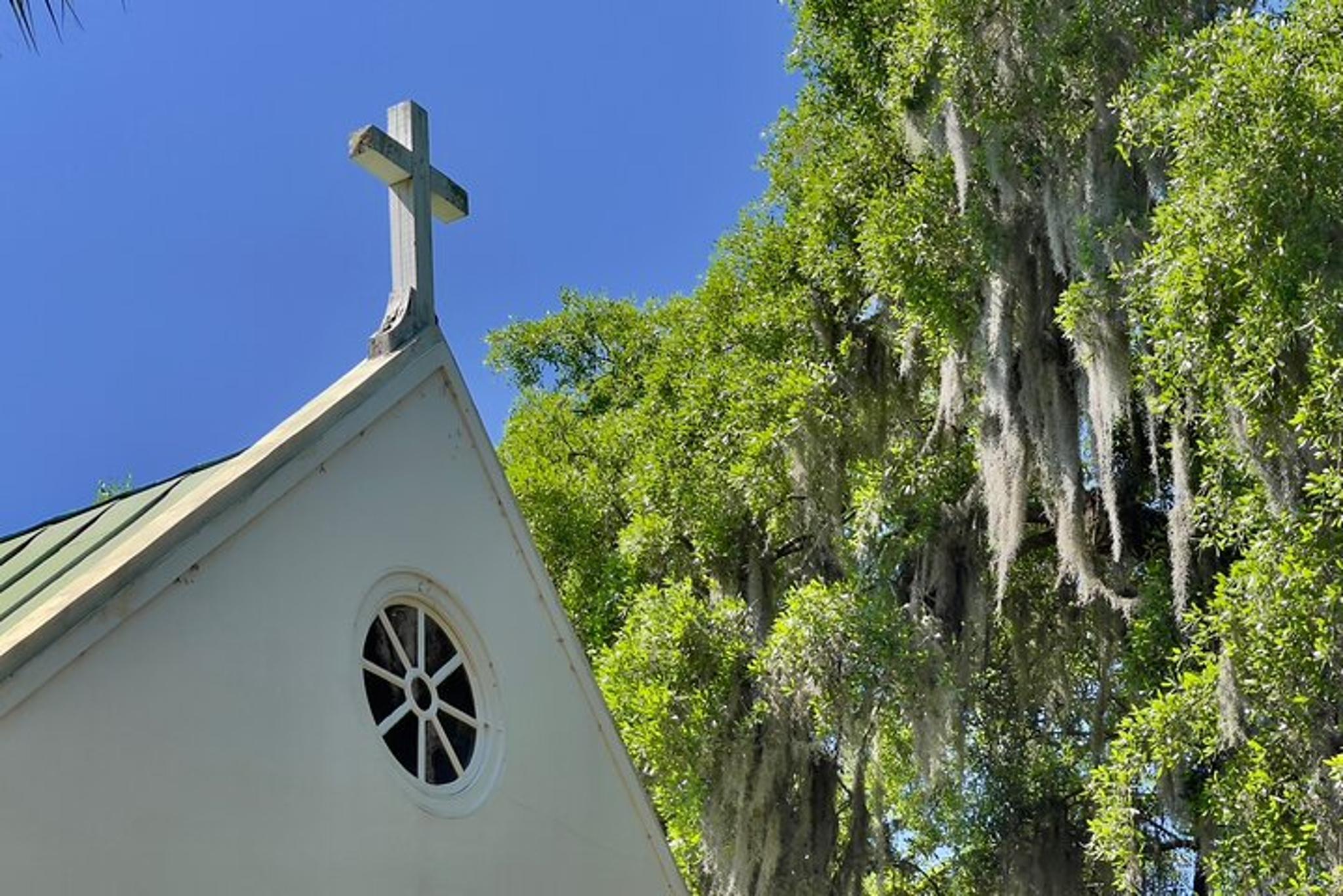 Charleston Historic Plantations Tour 4 hr - Image 6
