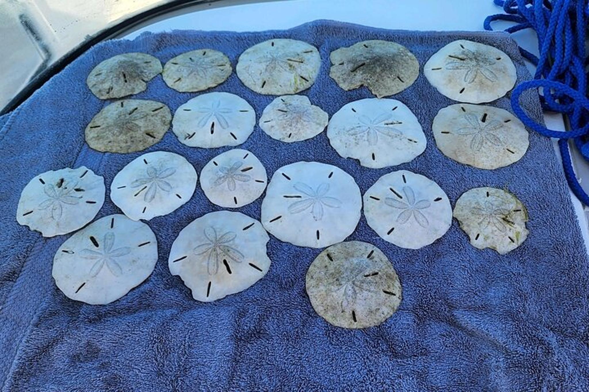 Treasure Island Shell Key Deck Boat Adventure - Image 4