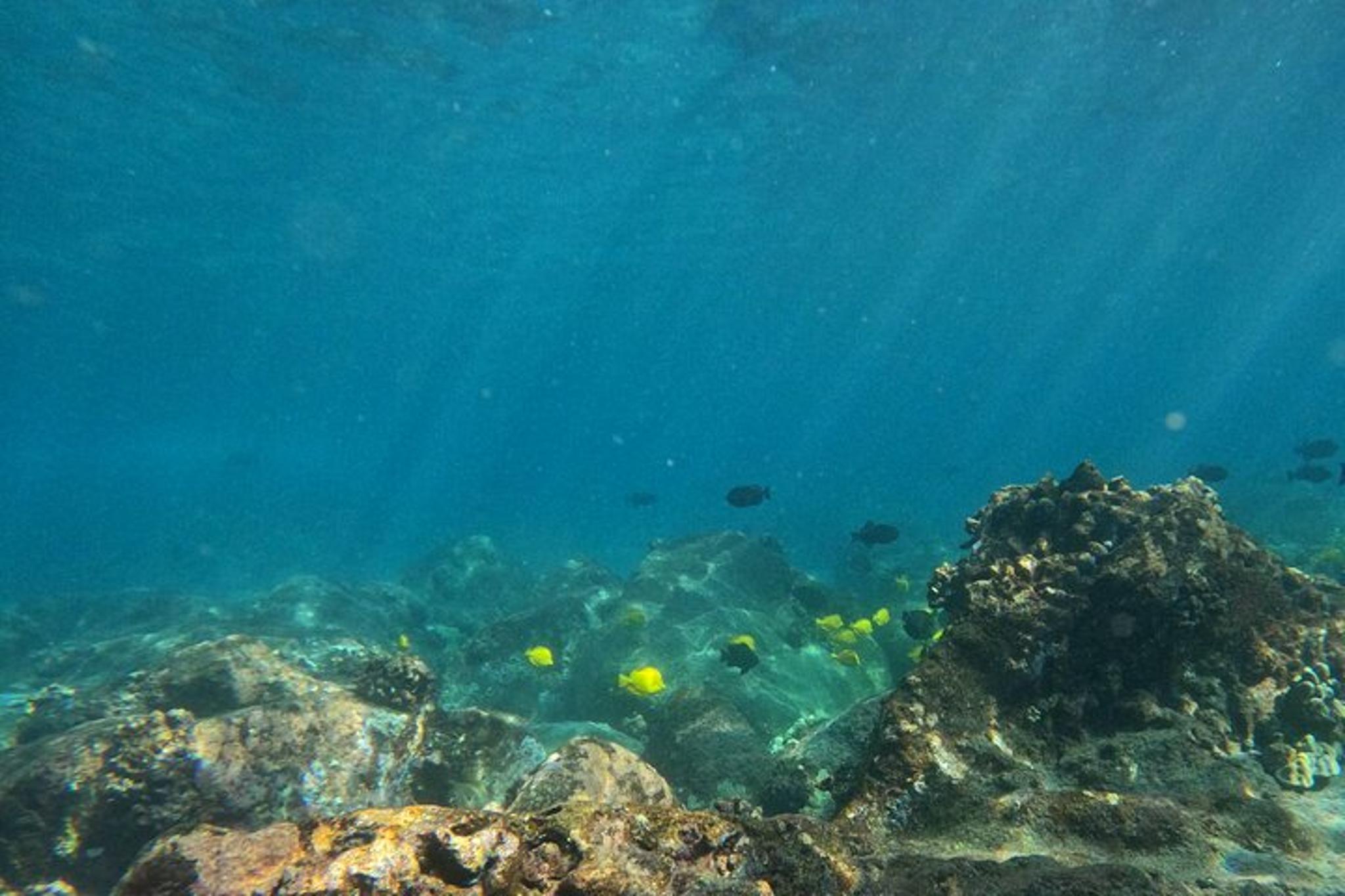 Kailua-Kona Sail and Snorkel Adventure - Image 5