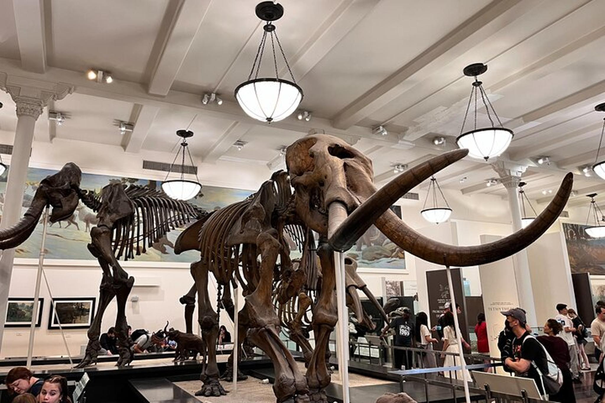 New York Museum Combo Tour - Image 4