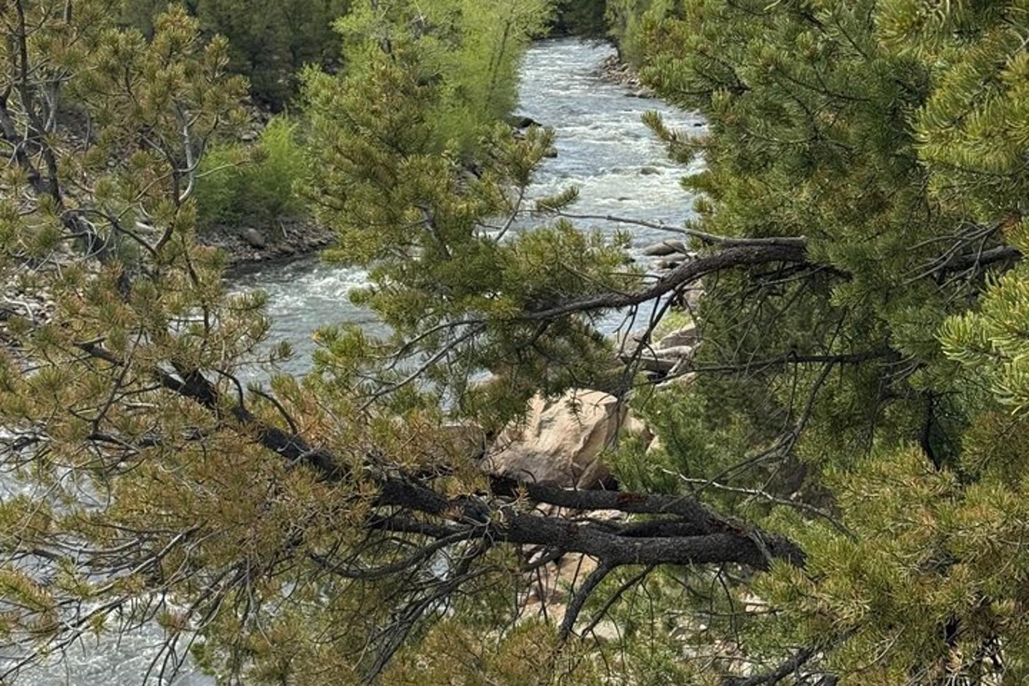 Buena Vista eBike Tour of Midland Tunnels - Image 5