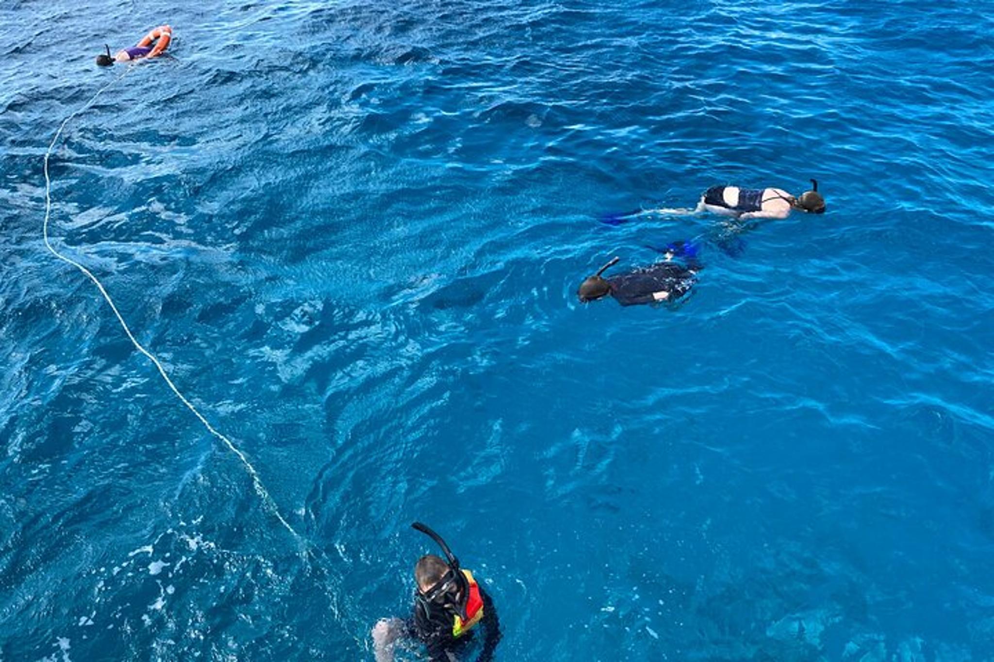 Honolulu Catamaran Snorkeling Tour - Image 4