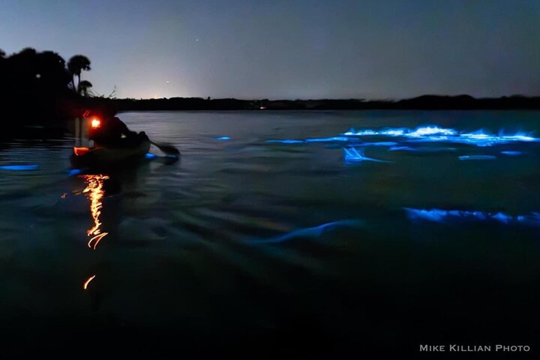 Merritt Island Bioluminescence Kayak Tour - Image 2