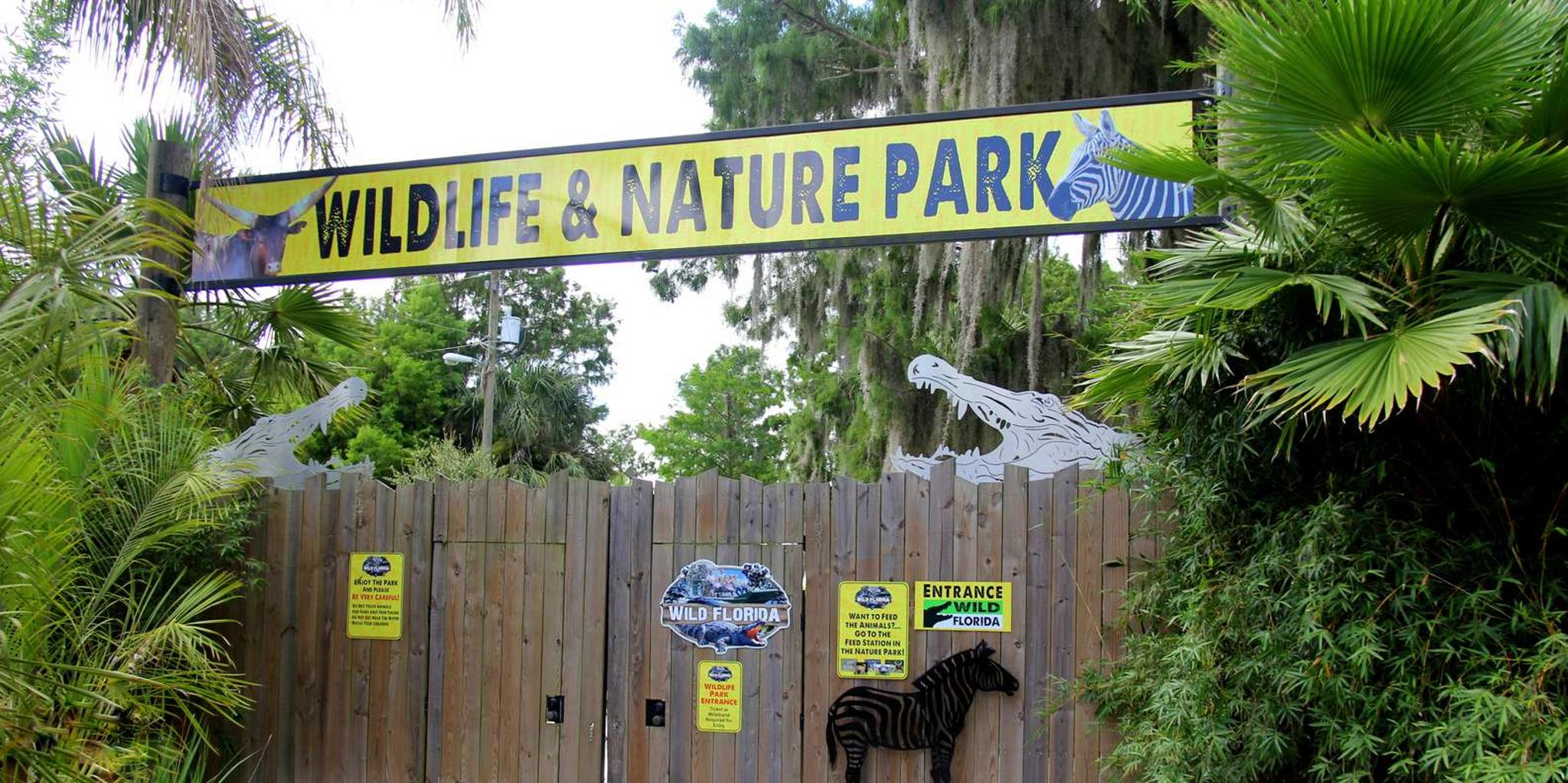 Orlando Wild Florida Airboat Ride with Lunch - Image 4