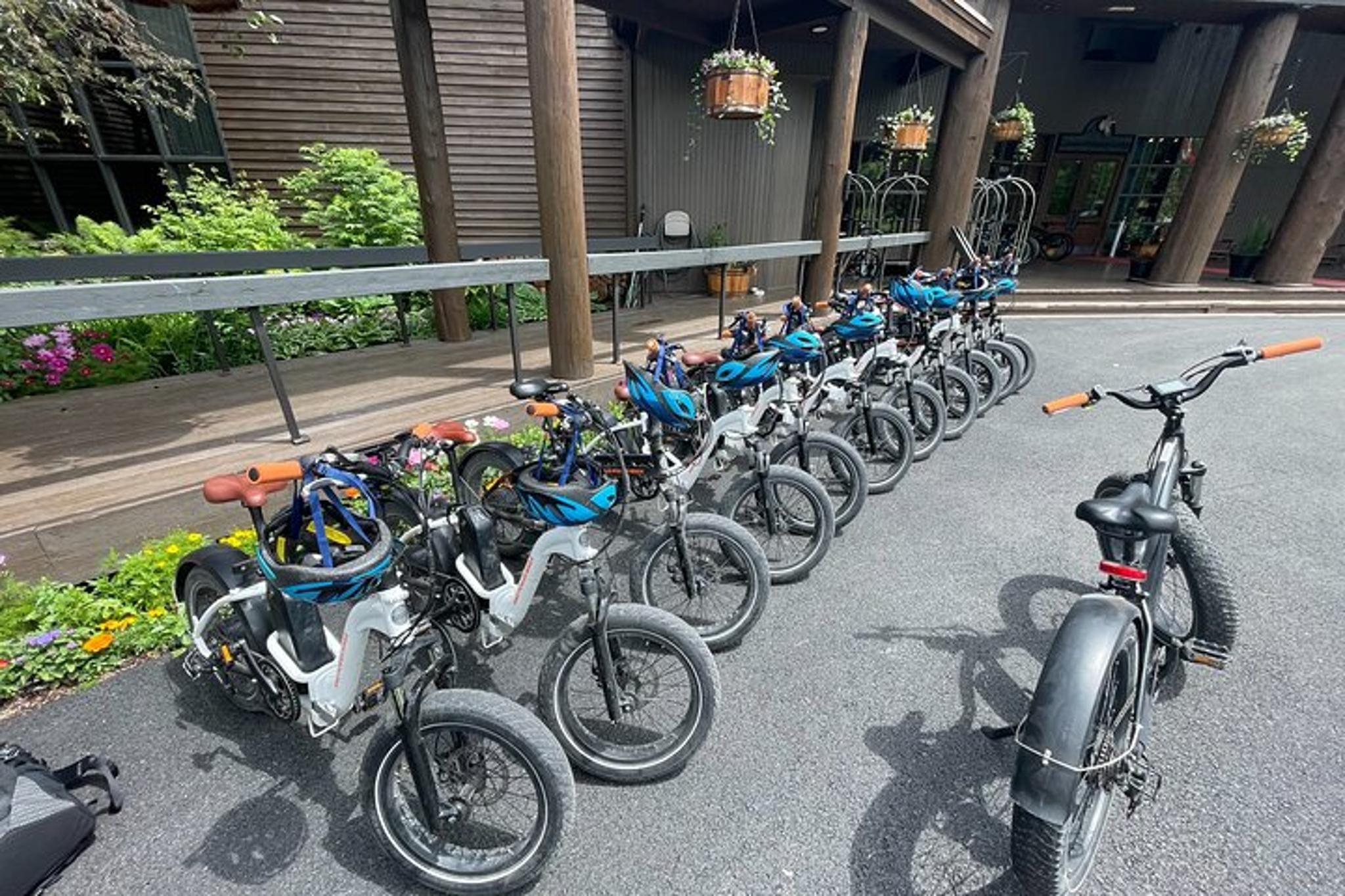 Whitefish Guided Bike and Hike Tour - Image 2