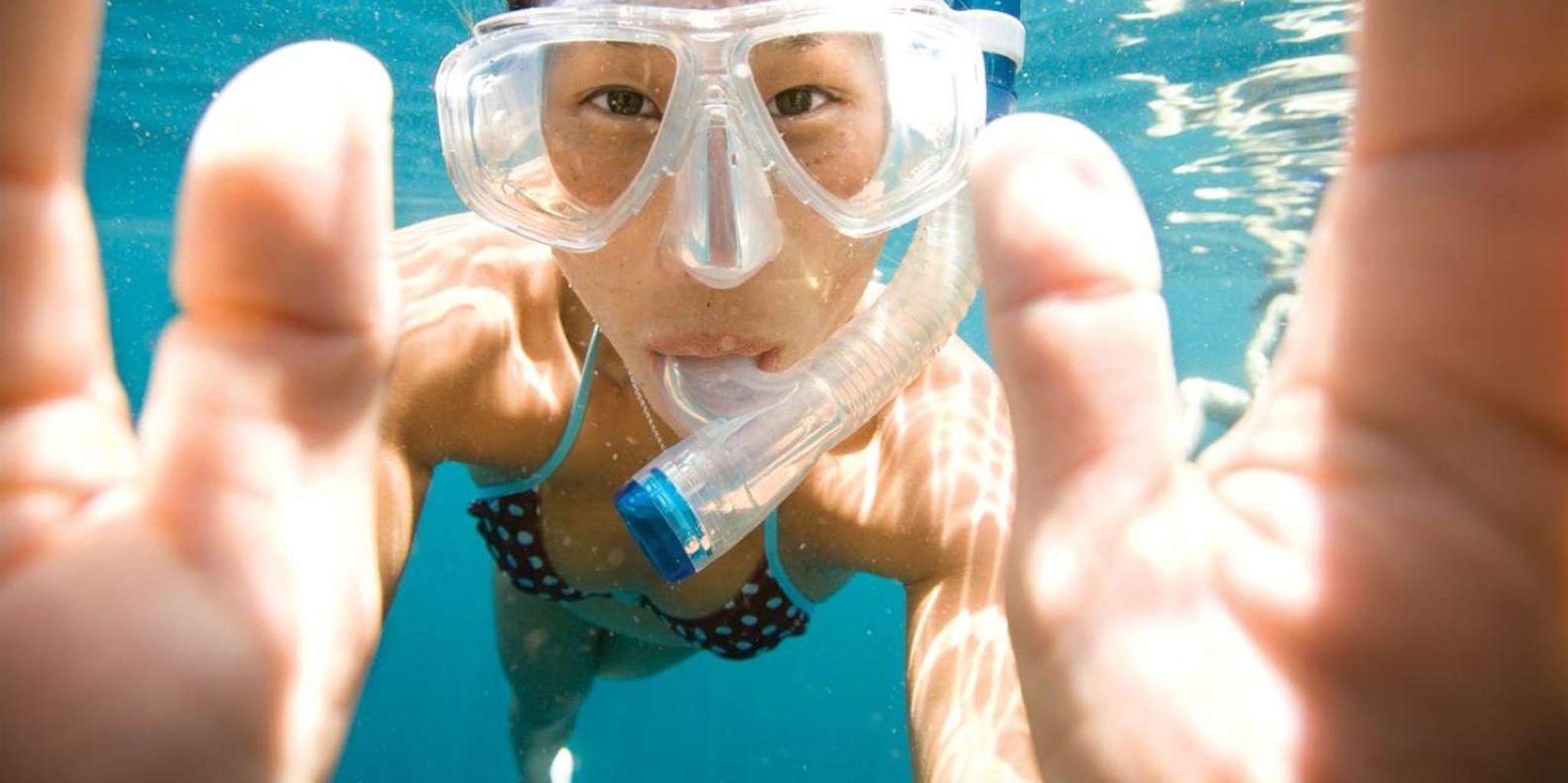 Key Largo Snorkeling Trip at Molasses Reef
