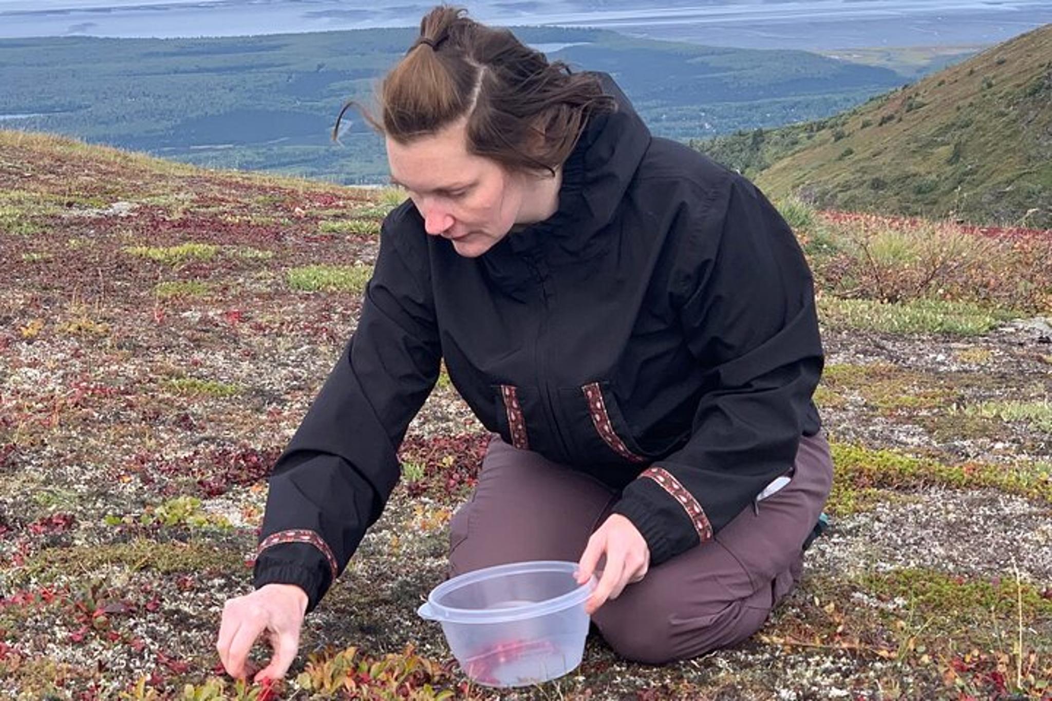 Anchorage Foraging and Cooking Tour - Image 2