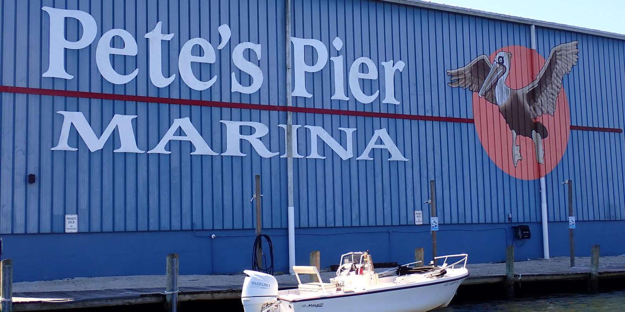 Crystal River Manatee Viewing Cruise 1.5 hr - Image 5