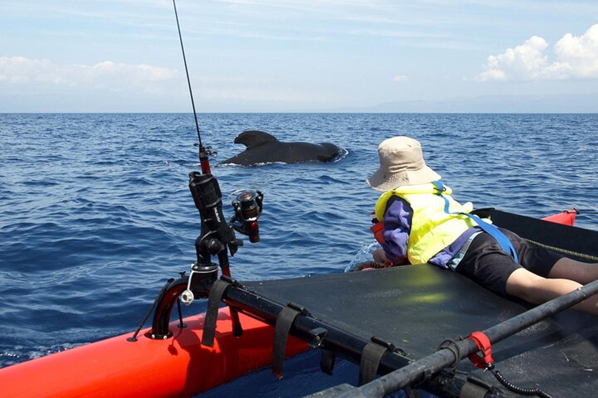 Ketchikan Sailing Tour of Alaska's Inside Passage 4 Days - Image 6