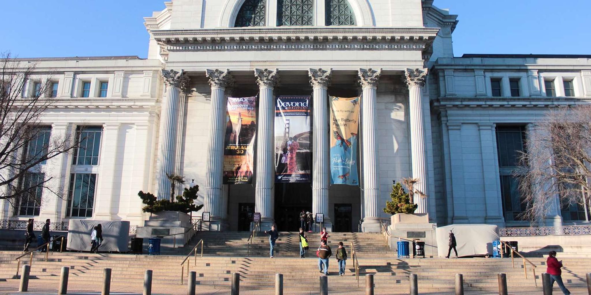 Washington D.C. Smithsonian Museum of Natural History Tour - Image 3
