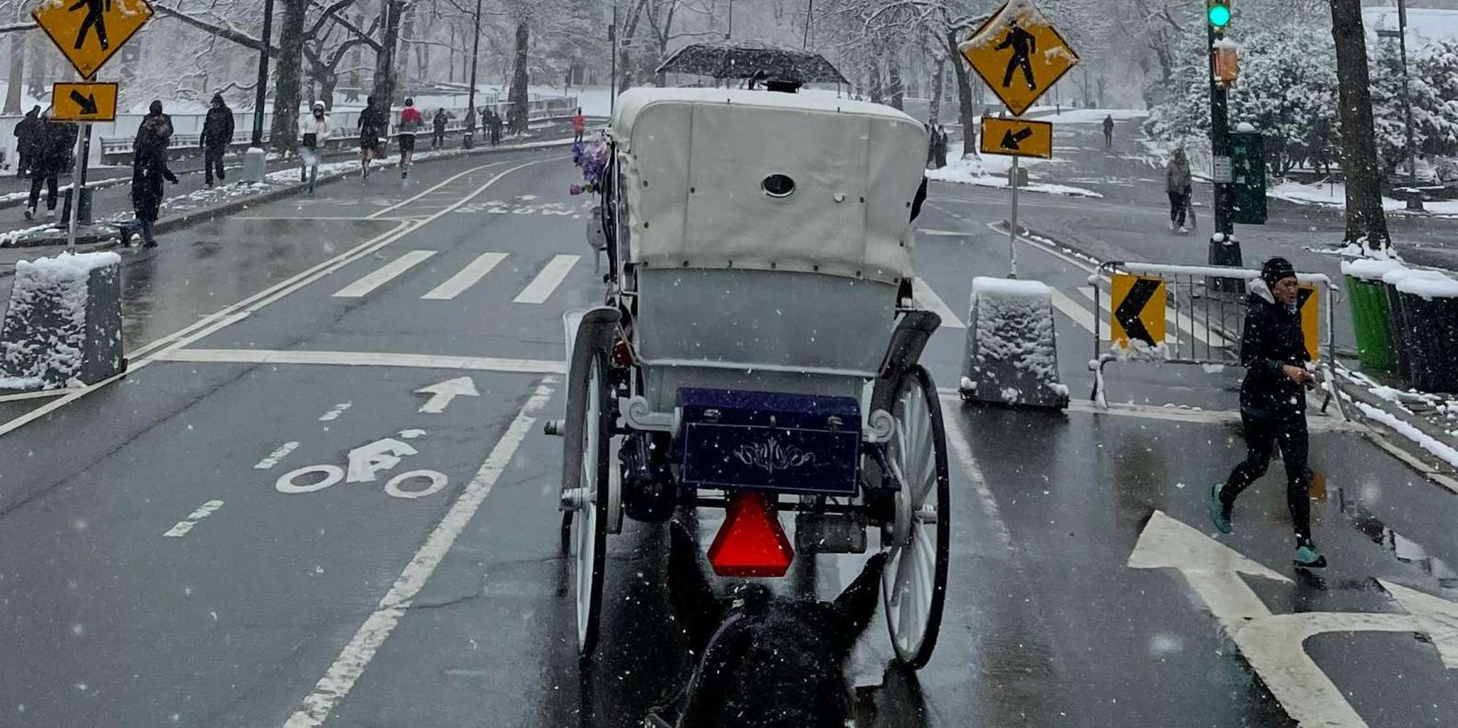 New York City Central Park Horse Carriage Ride - Image 3