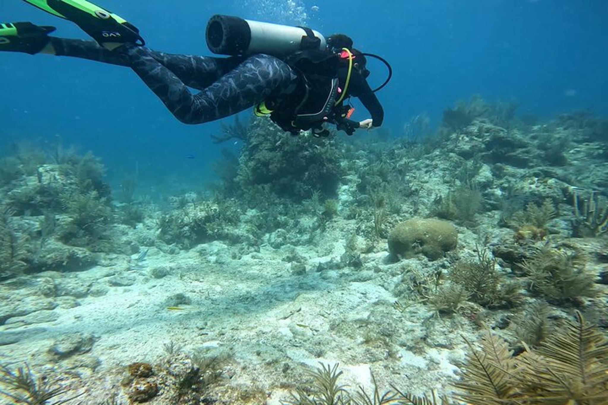 Key Largo Snorkeling Tour - Image 5