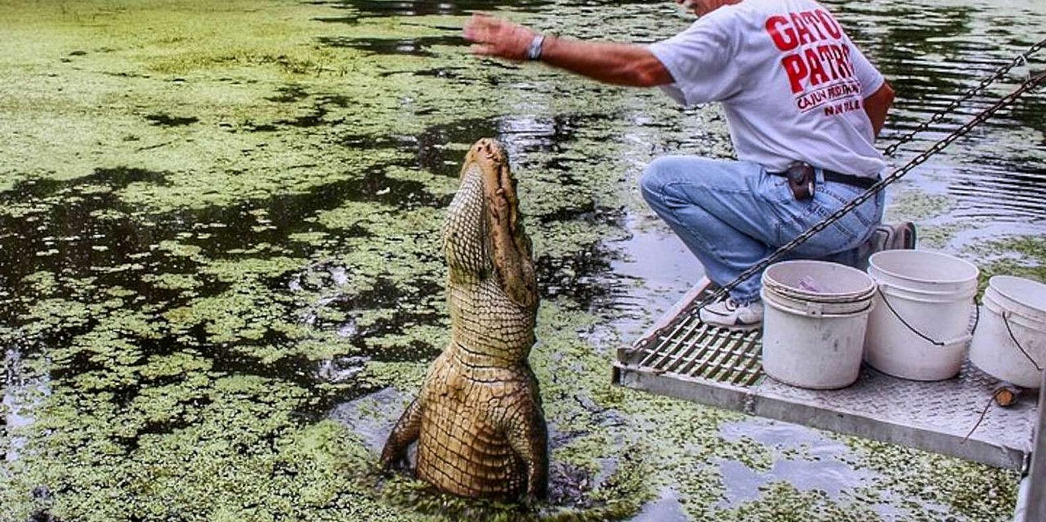 New Orleans Swamp Boat and Plantation Tour - Image 2