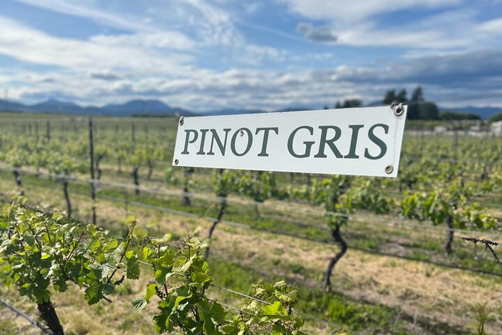 Hood River Wine Tour - Image 6