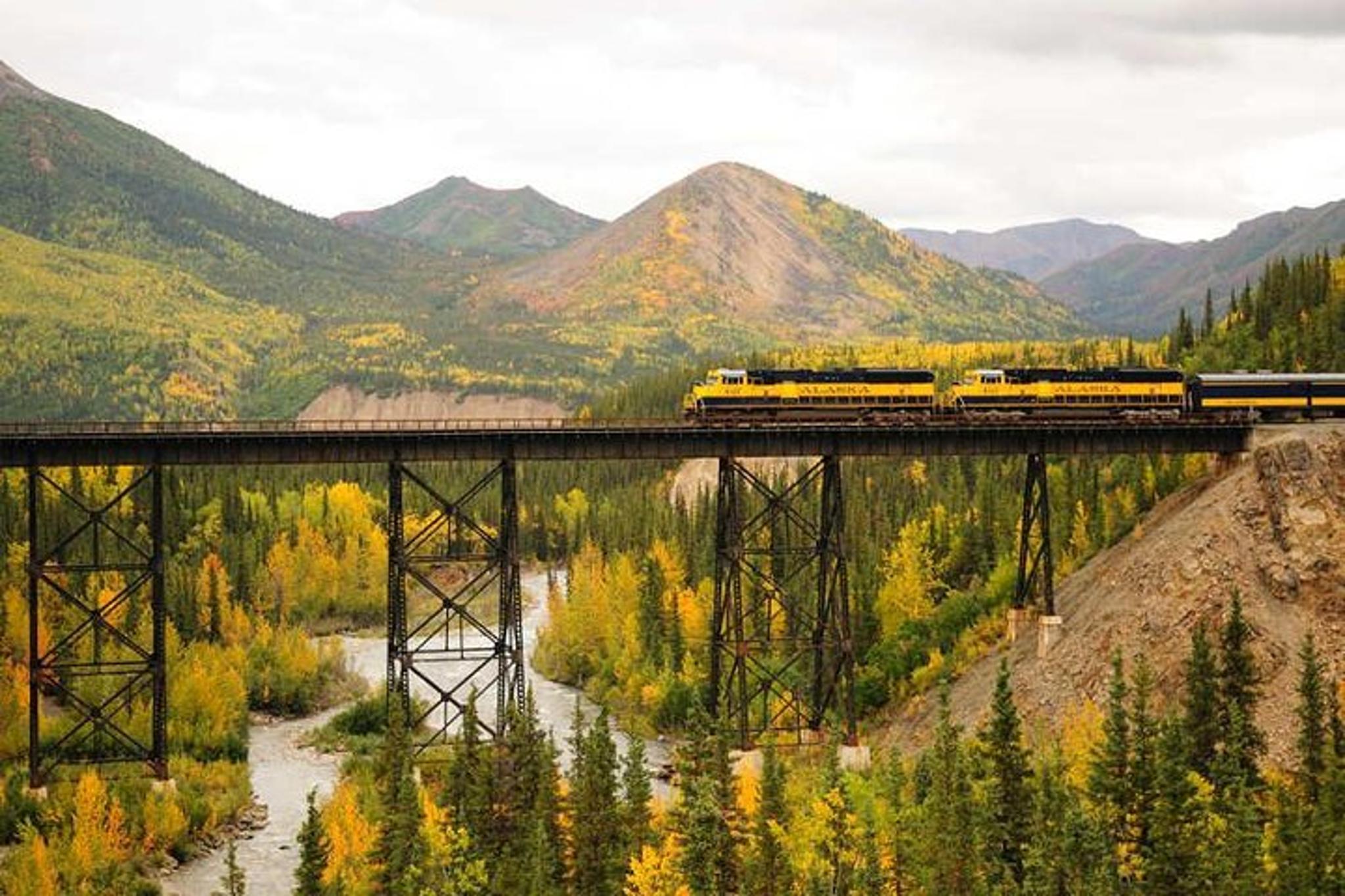 Denali to Anchorage Train Journey - Image 3