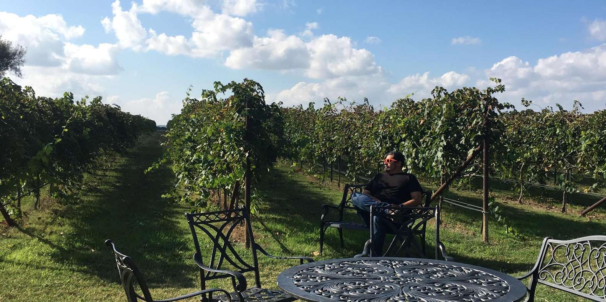 San Antonio Fredericksburg Wine Tour - Image 5