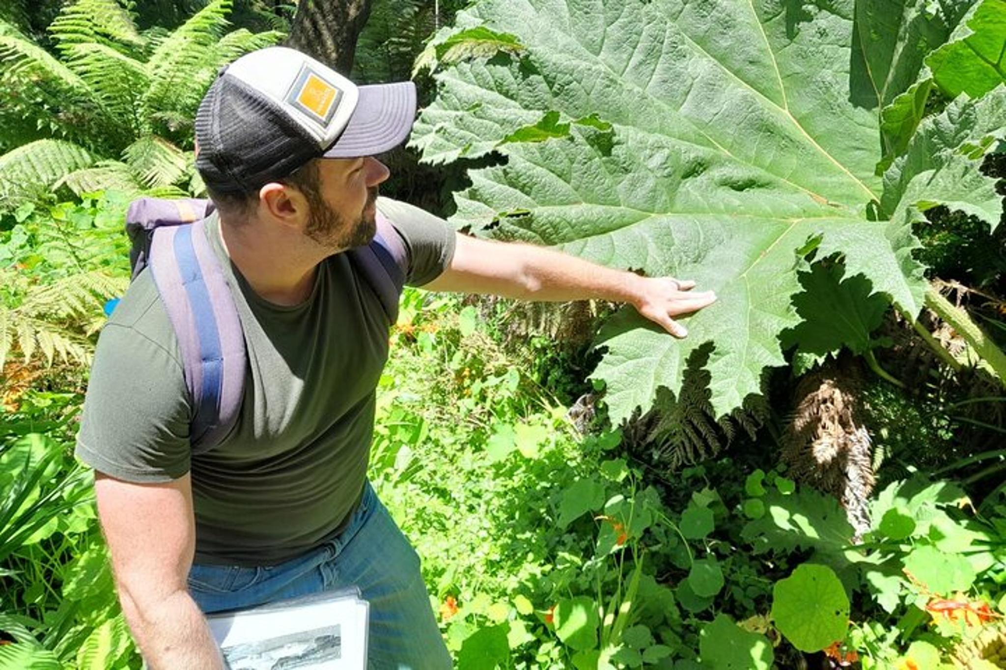 San Francisco Golden Gate Park Tour - Image 6