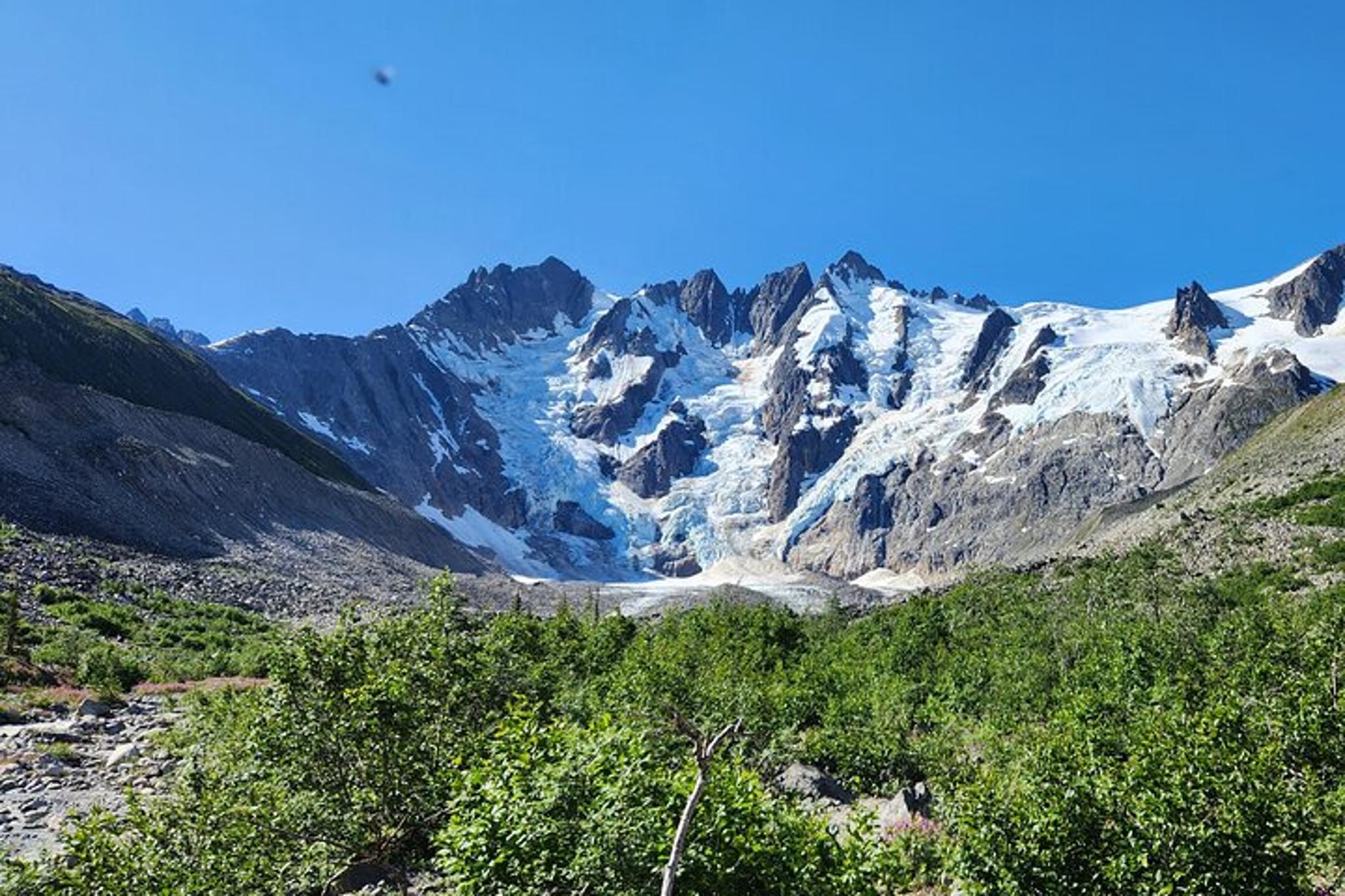 Skagway Glacier Hike and Rail Adventure - Image 6