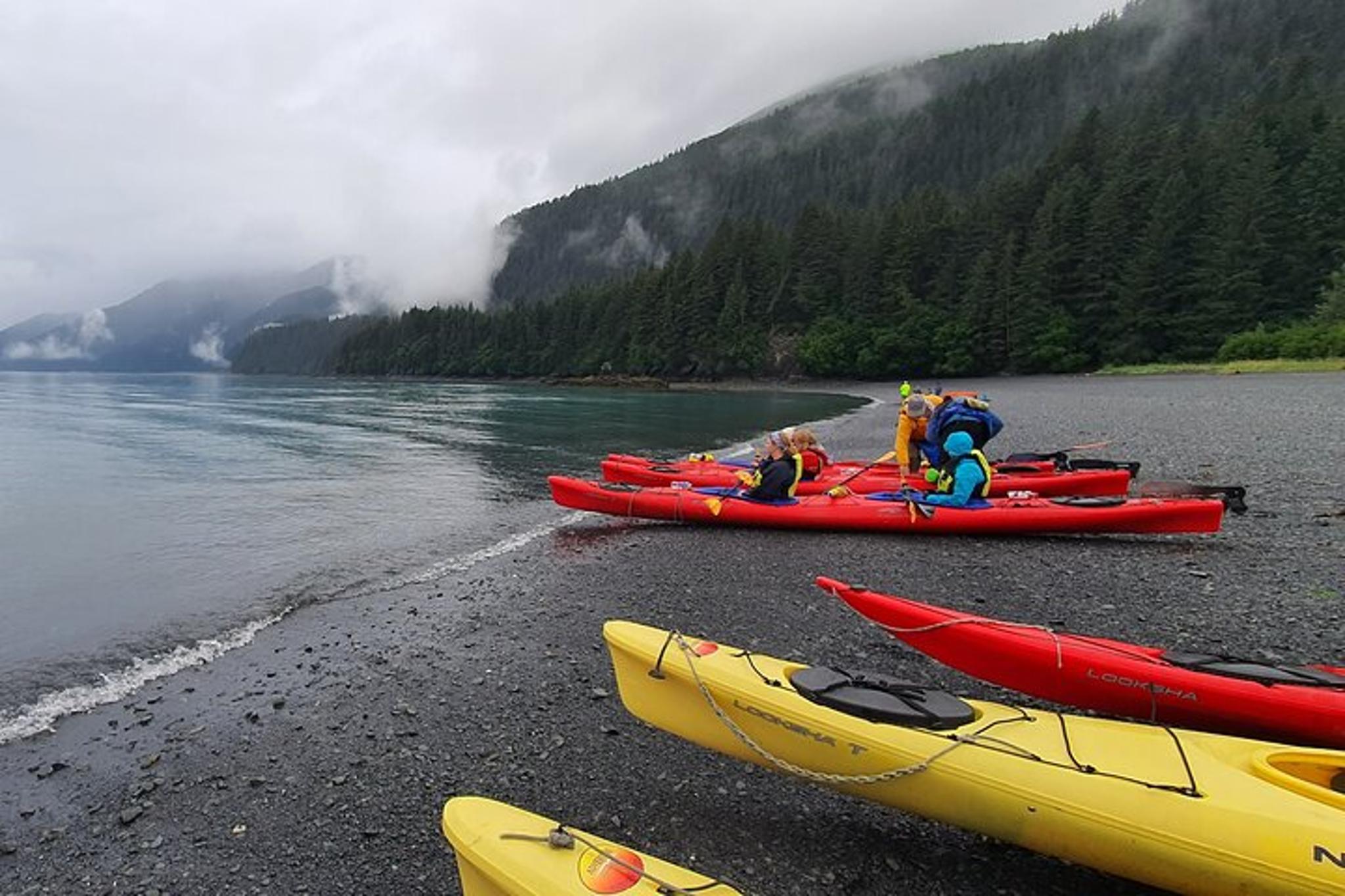 Seward Tonsina Point Kayak Tour - Image 6