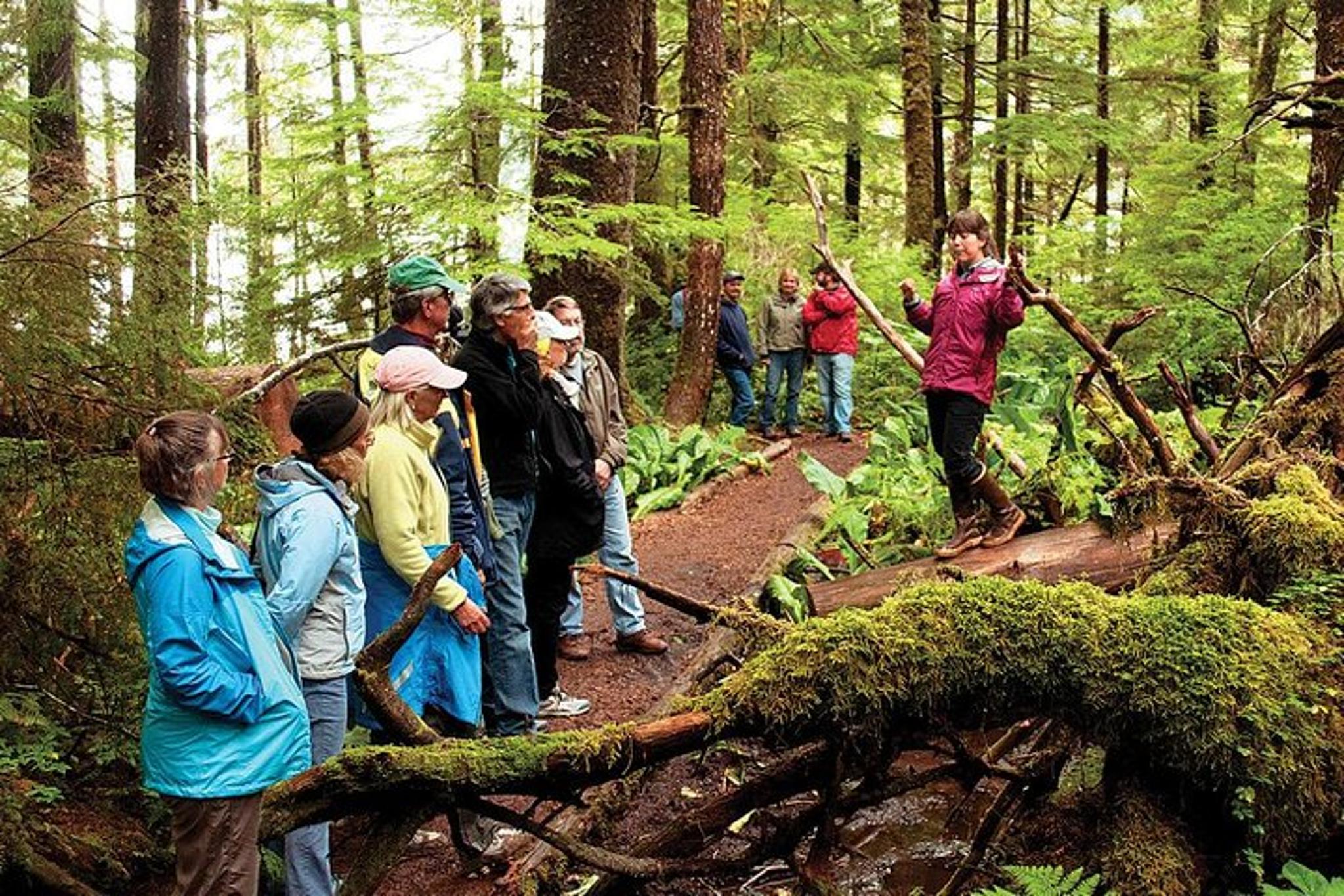 Ketchikan Rainforest Canoe and Nature Walk - Image 3